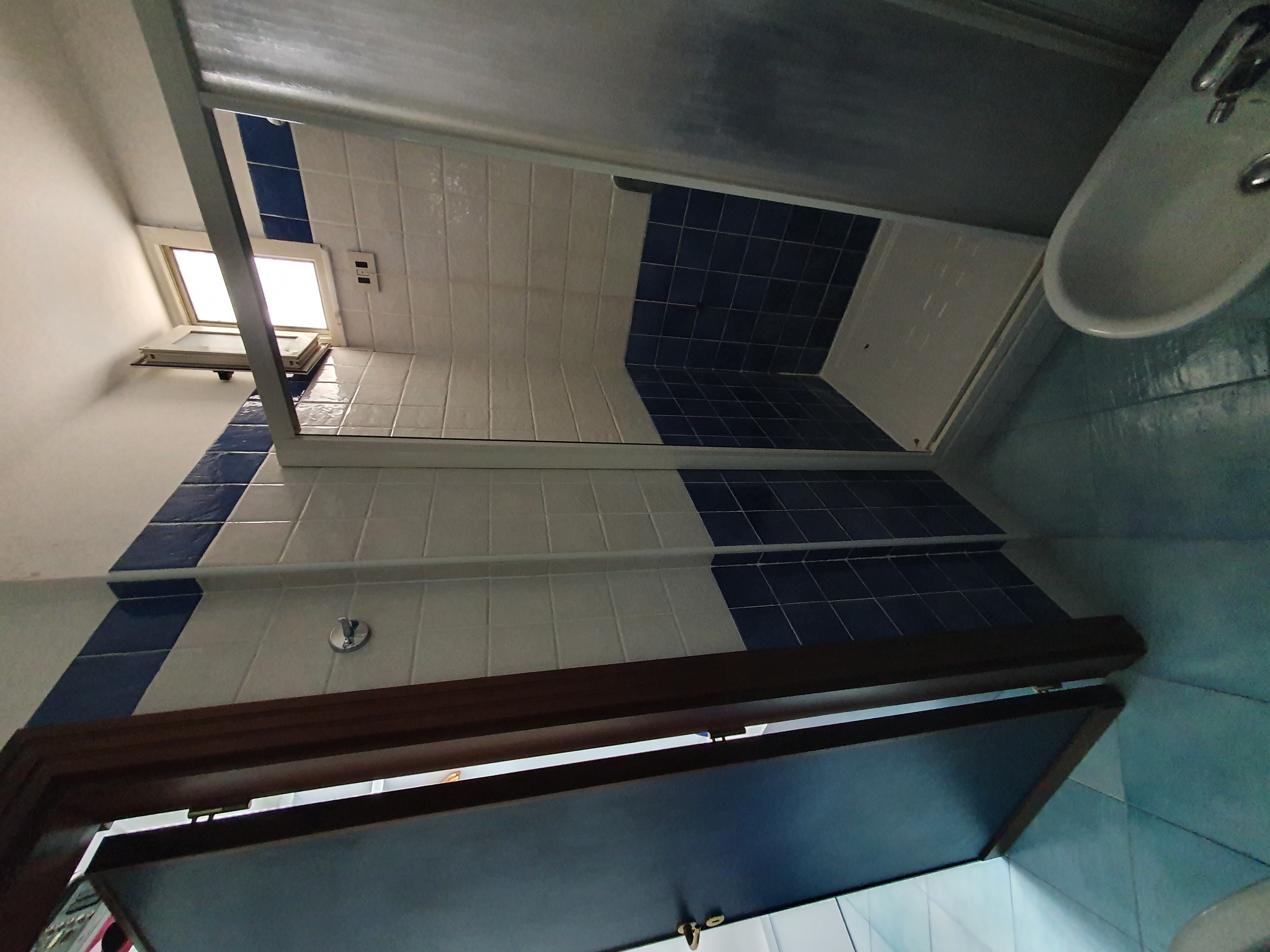 Double or Twin Economy