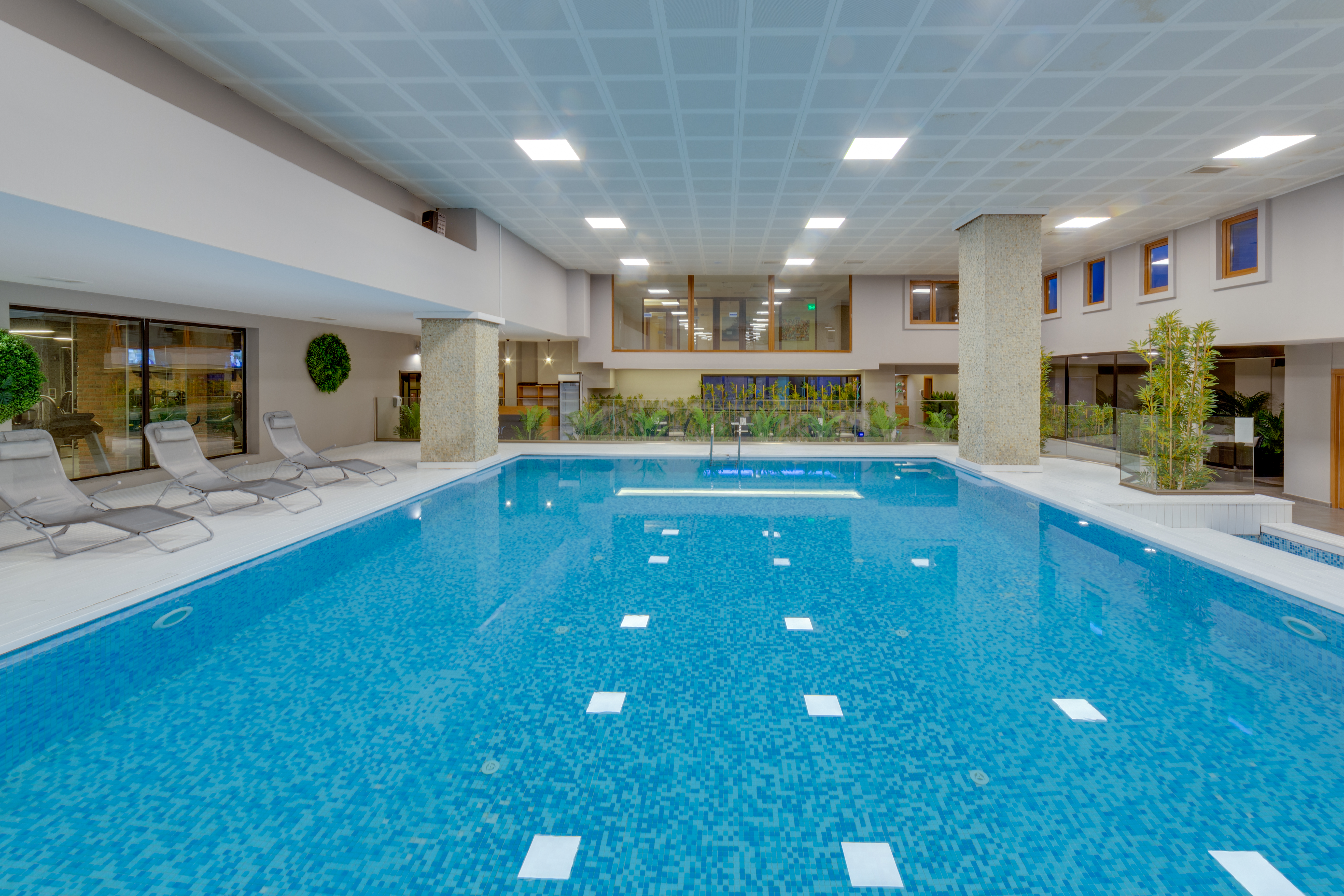 Sports and Entertainment