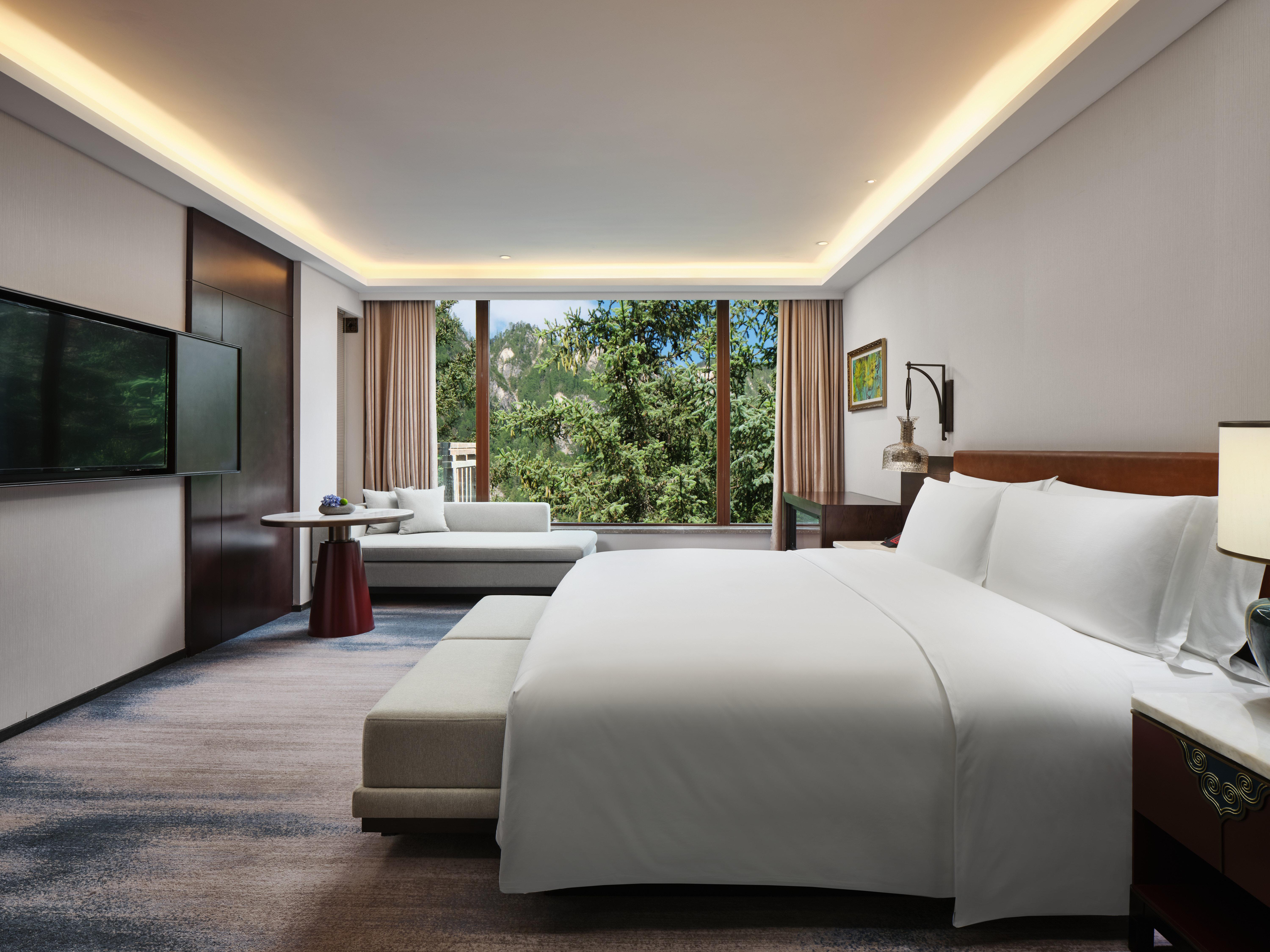 Suite King Bed One Bedroom 