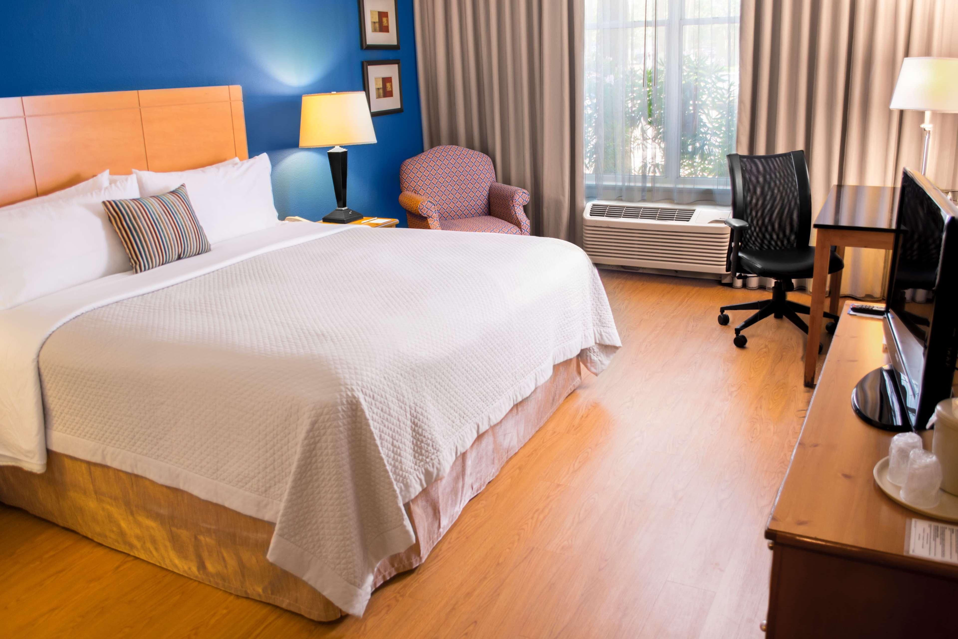 Room King Bed Non Smoking