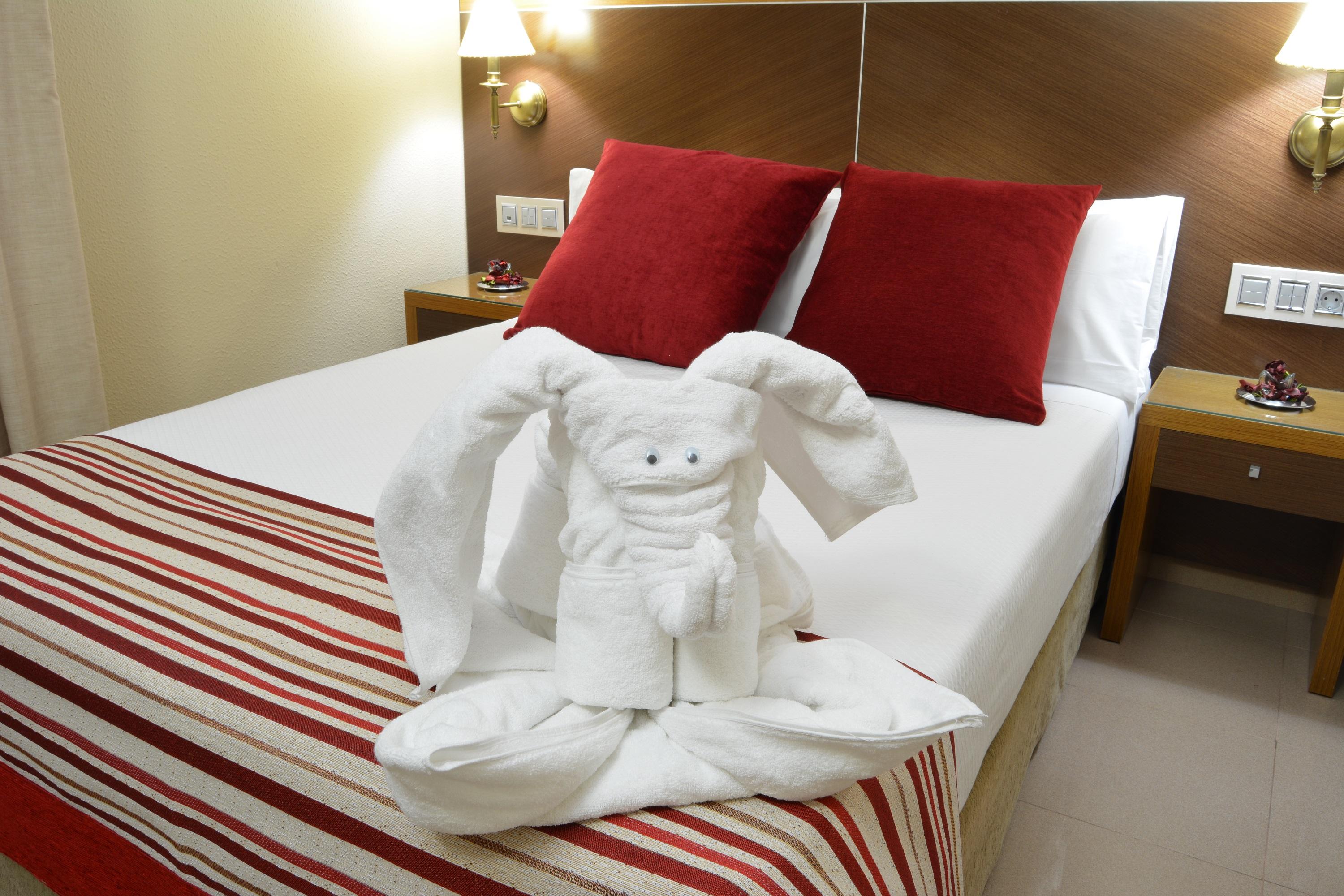 Double or Twin Standard