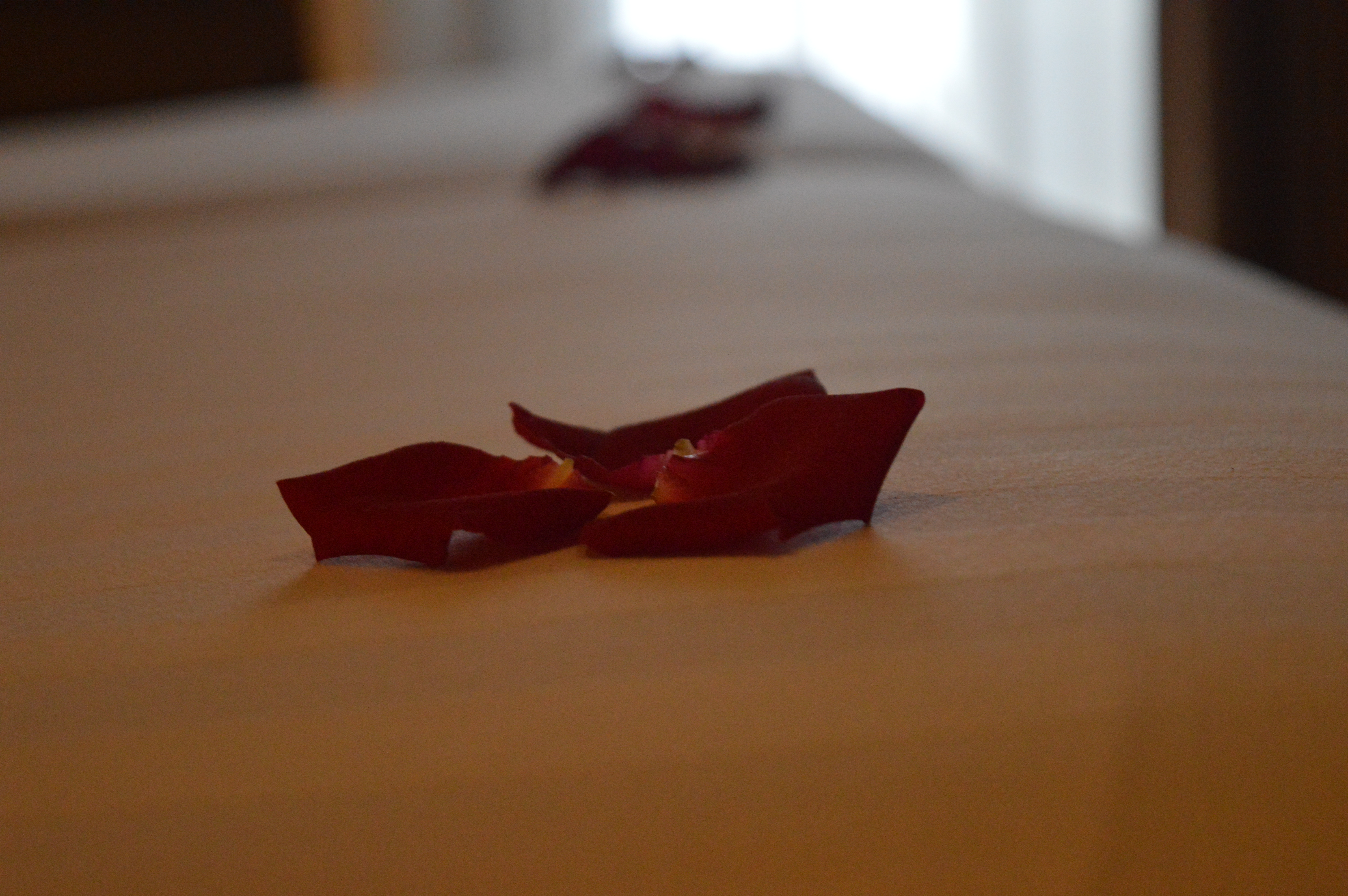 Double or Twin Deluxe