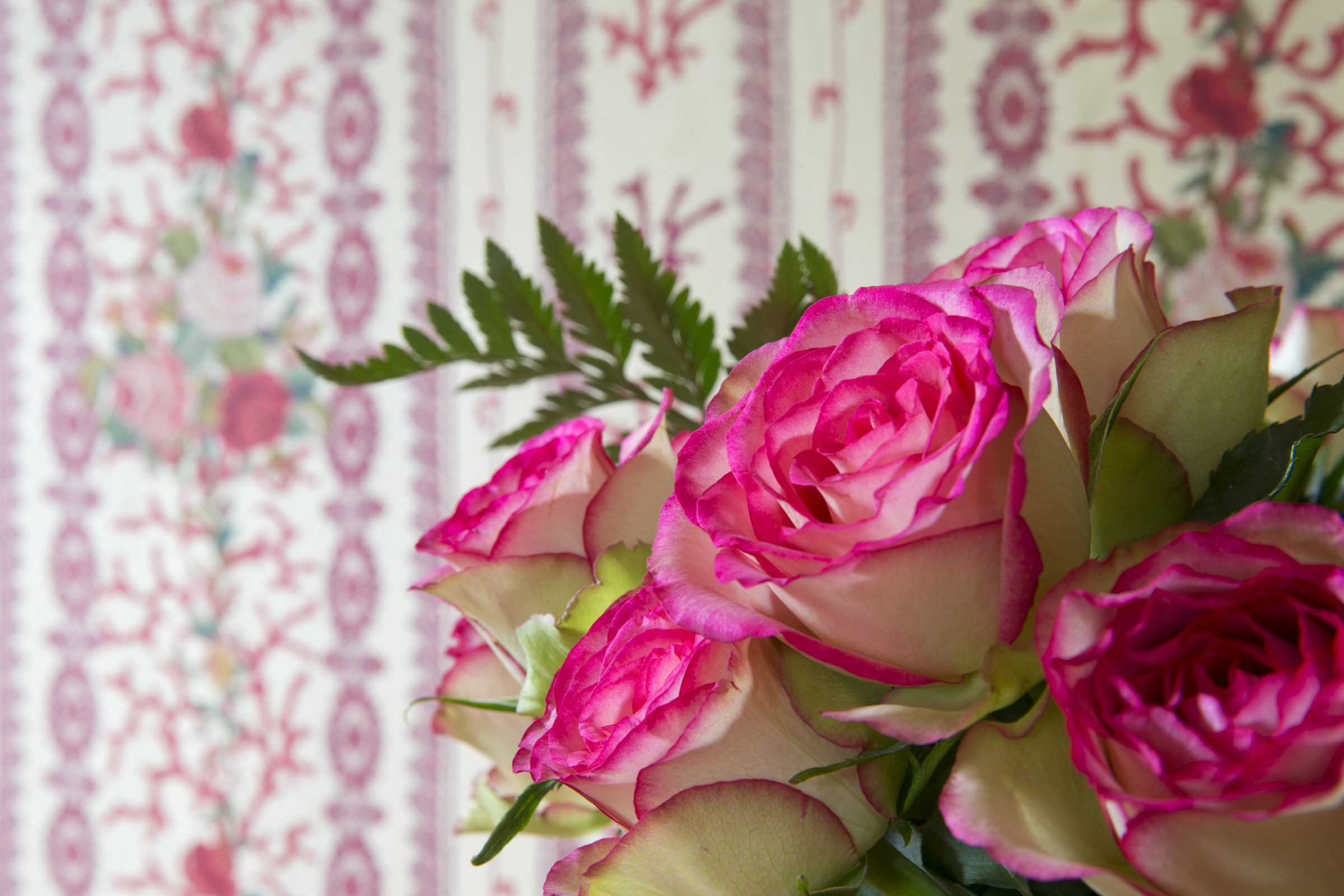 Junior Suite Garden View