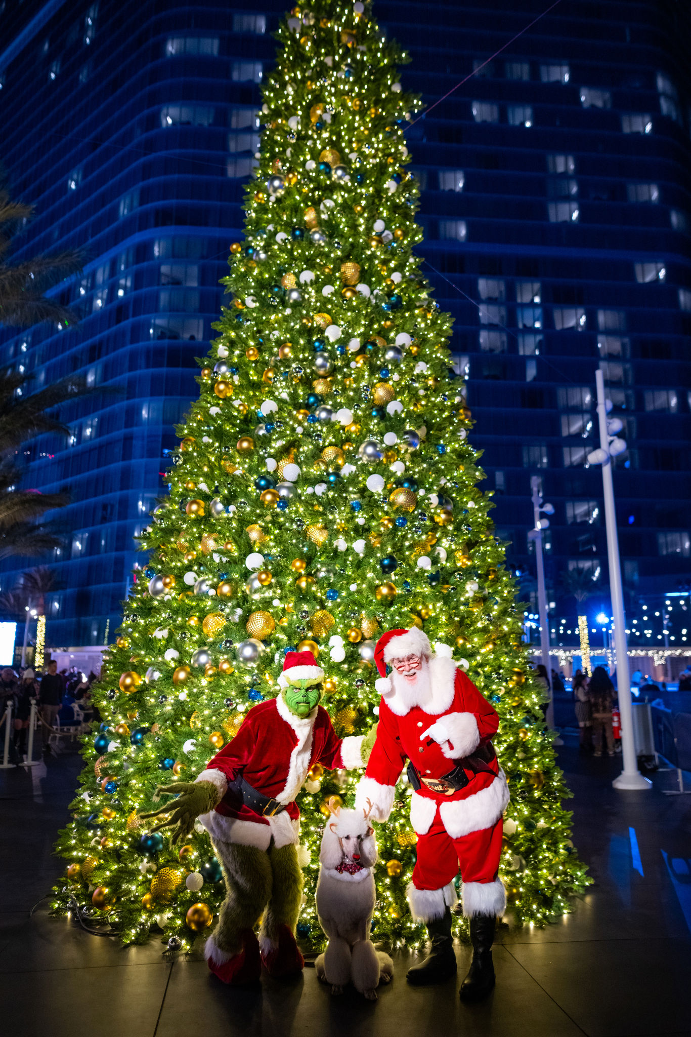 Sports and Entertainment