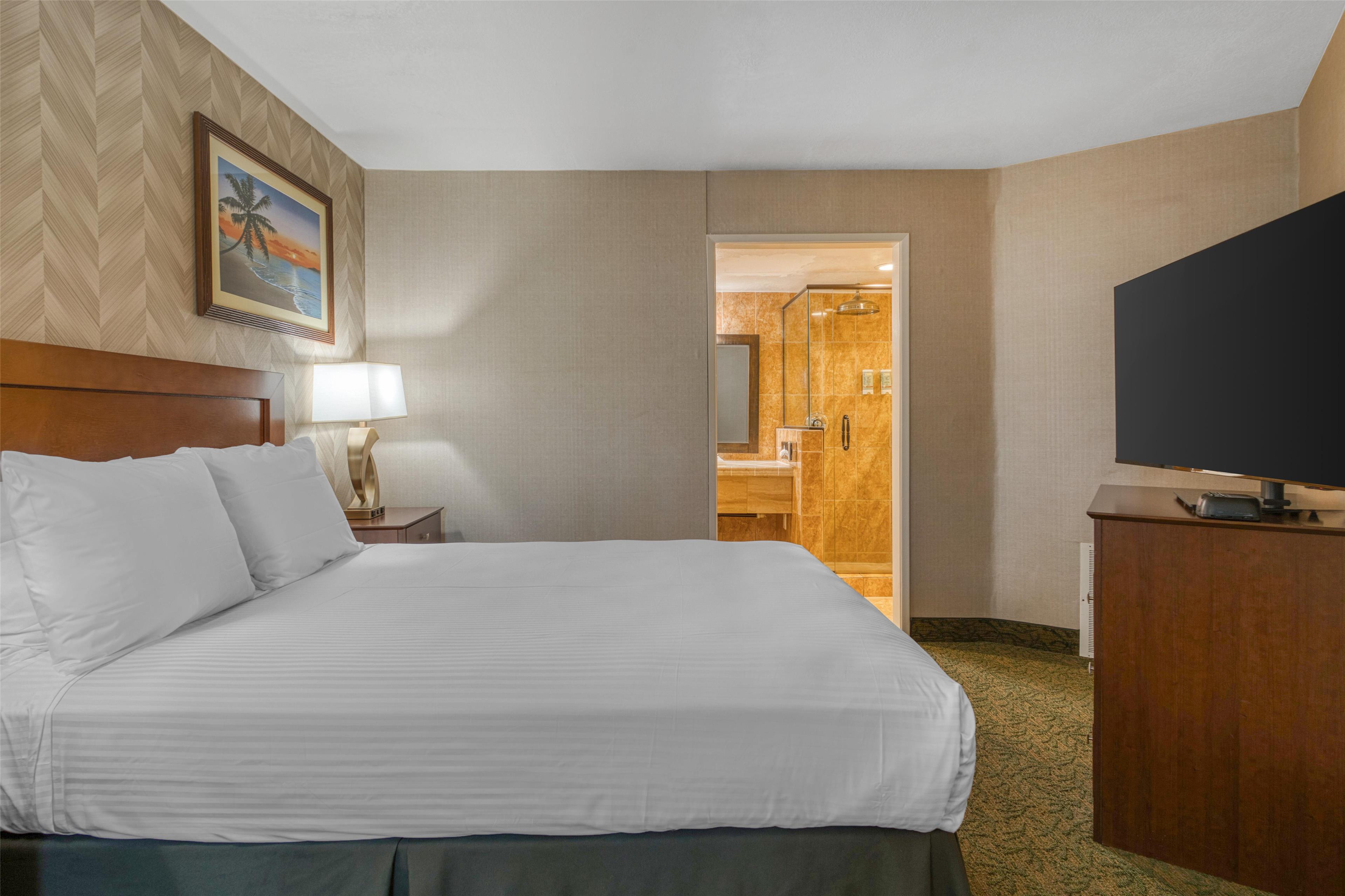 Suite Queen Bed Non Smoking