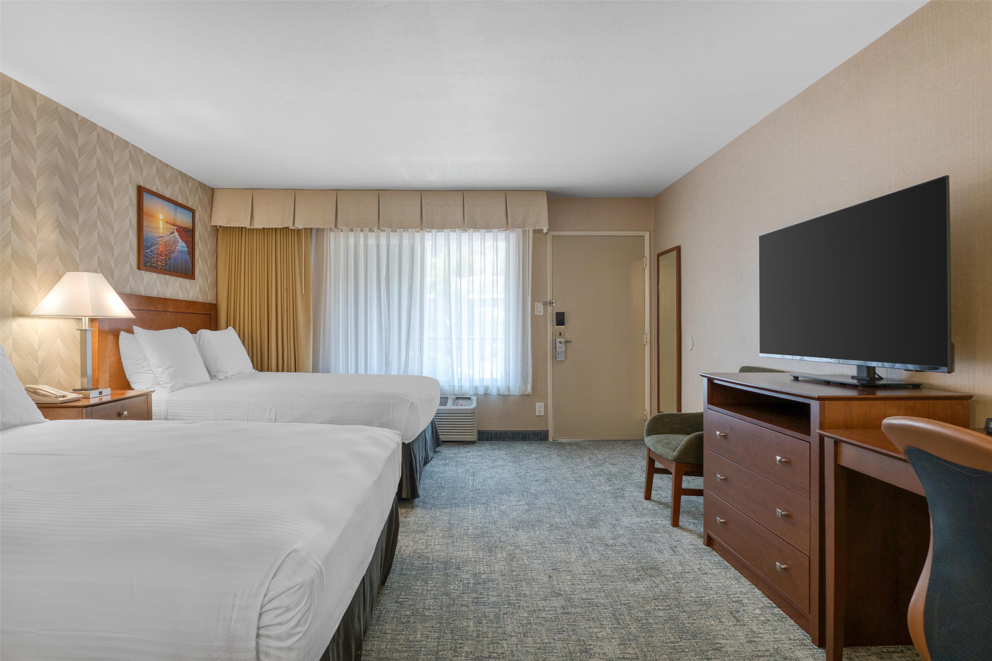 Double Two Queen Beds