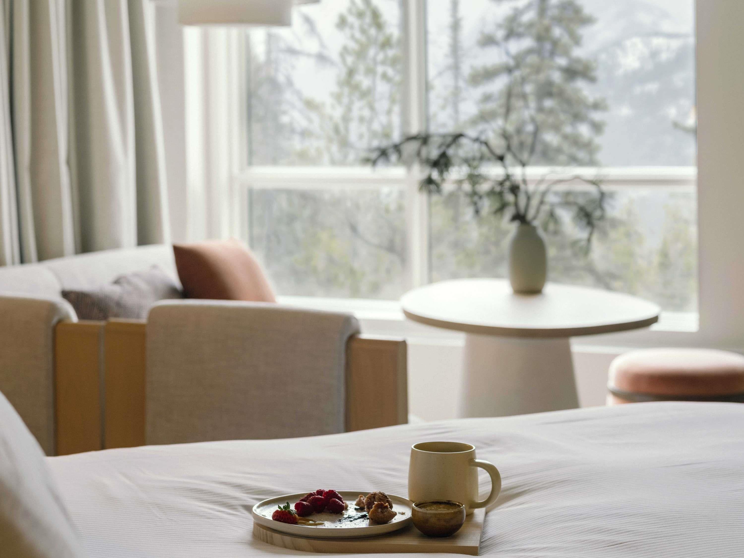 Suite King Bed One Bedroom 