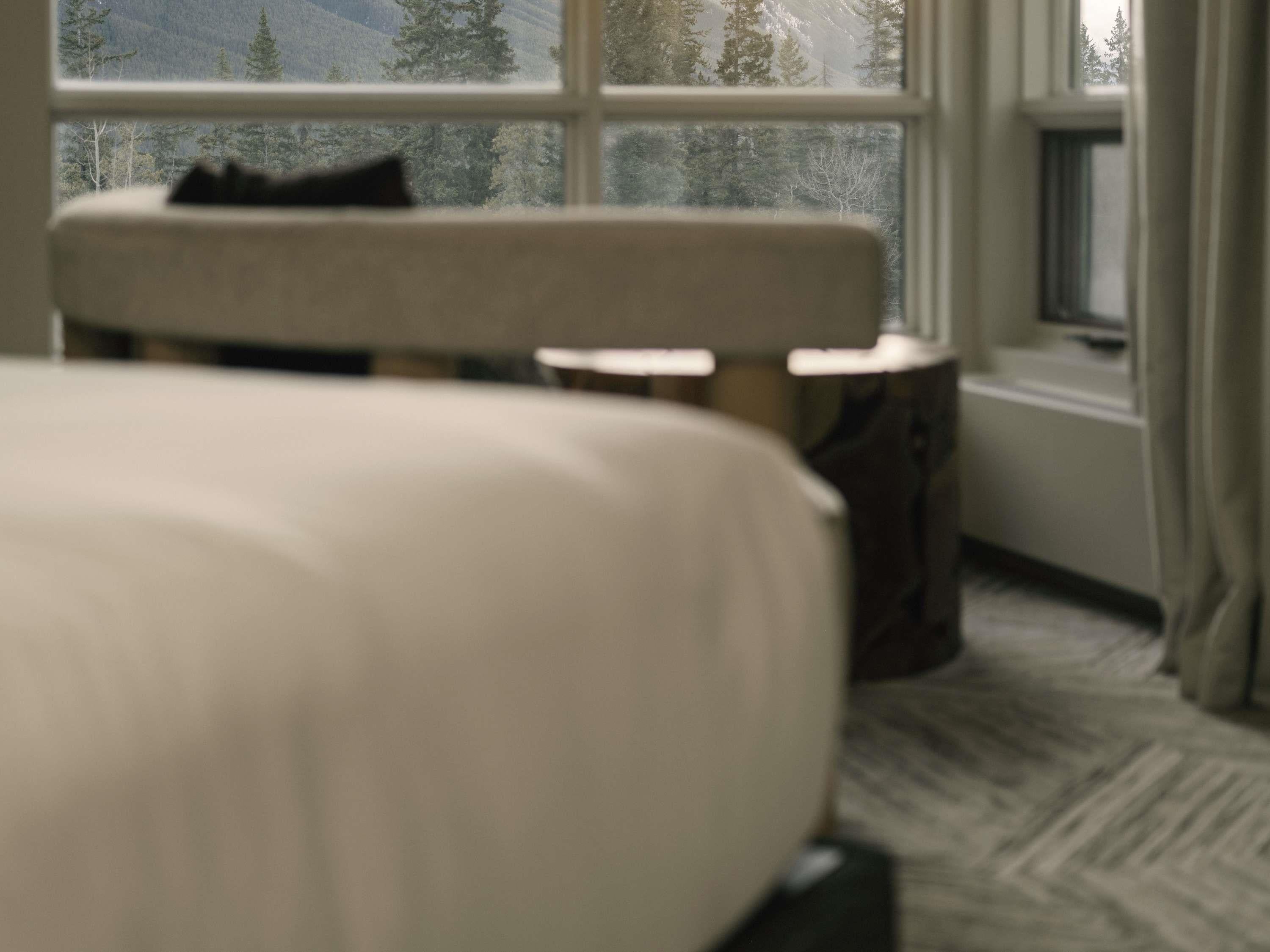 Suite King Bed One Bedroom 