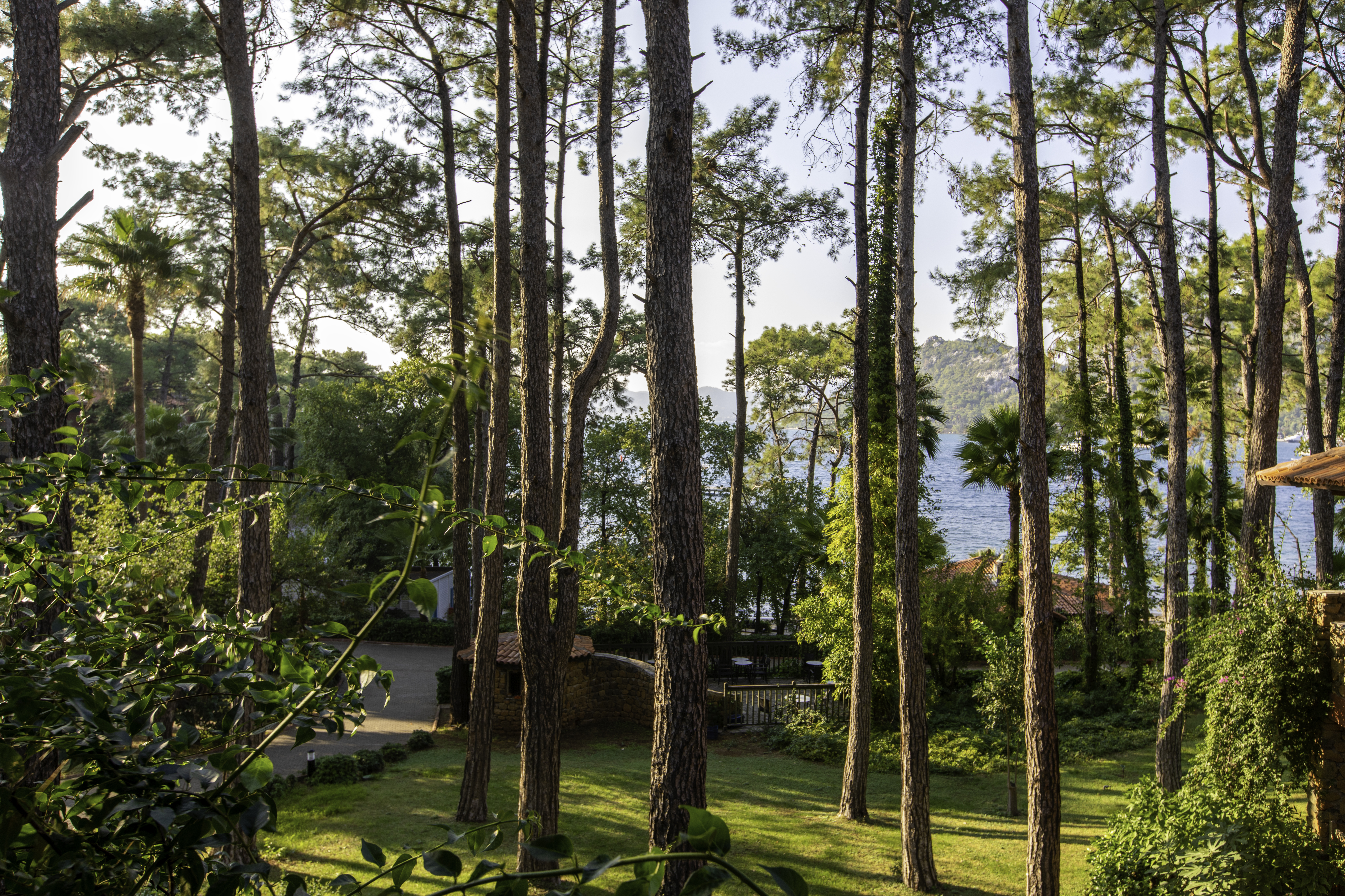 Suite Superior Capacity 4