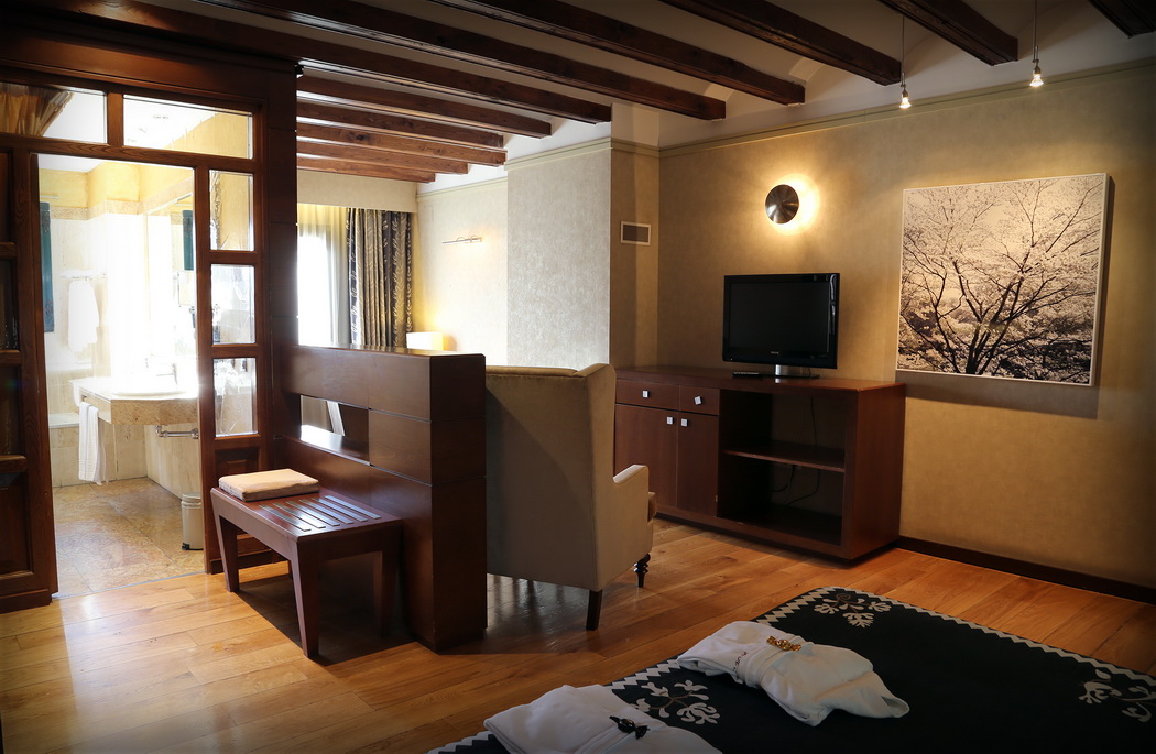 Junior Suite with Terrace