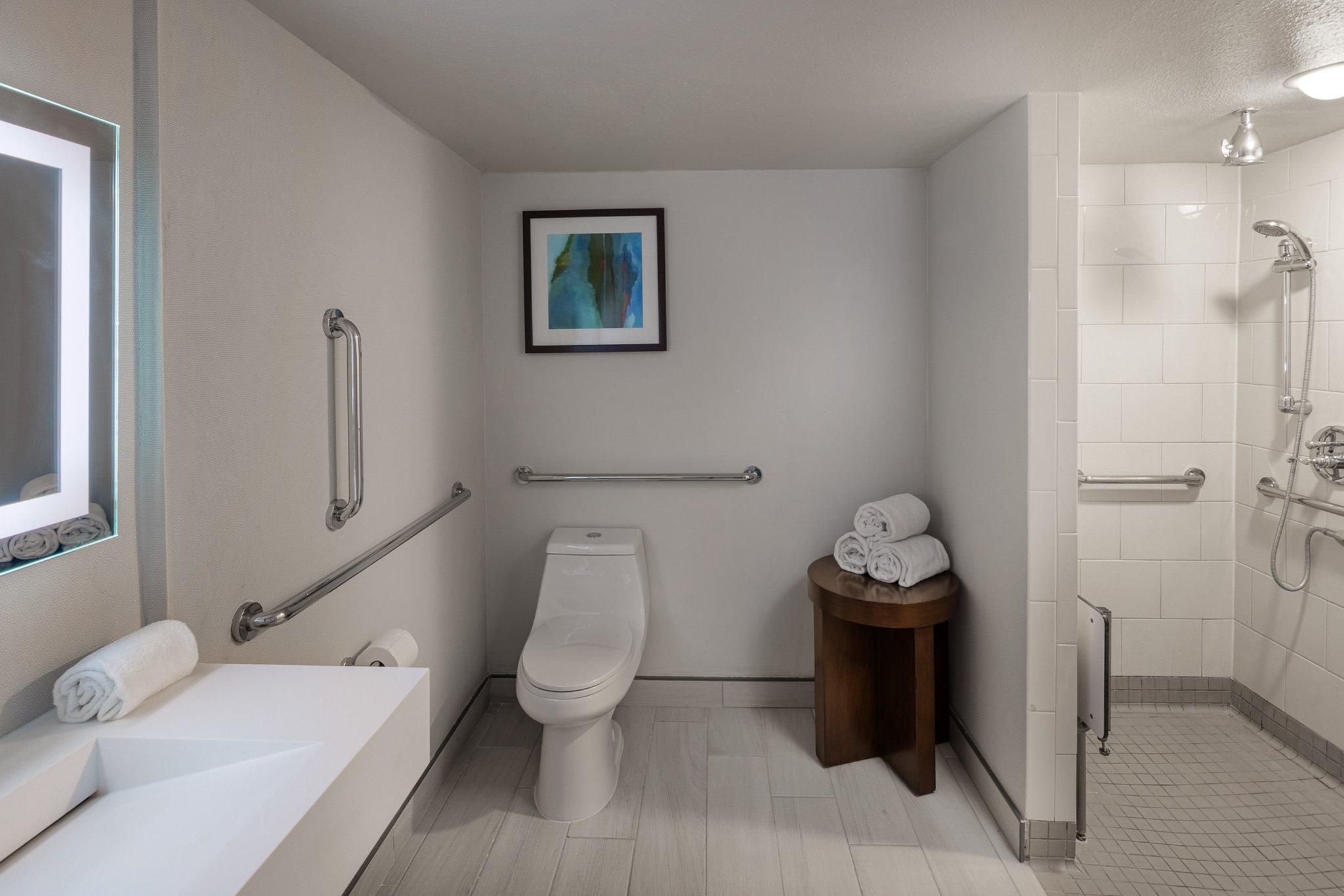 Double Accessible King Size Bed