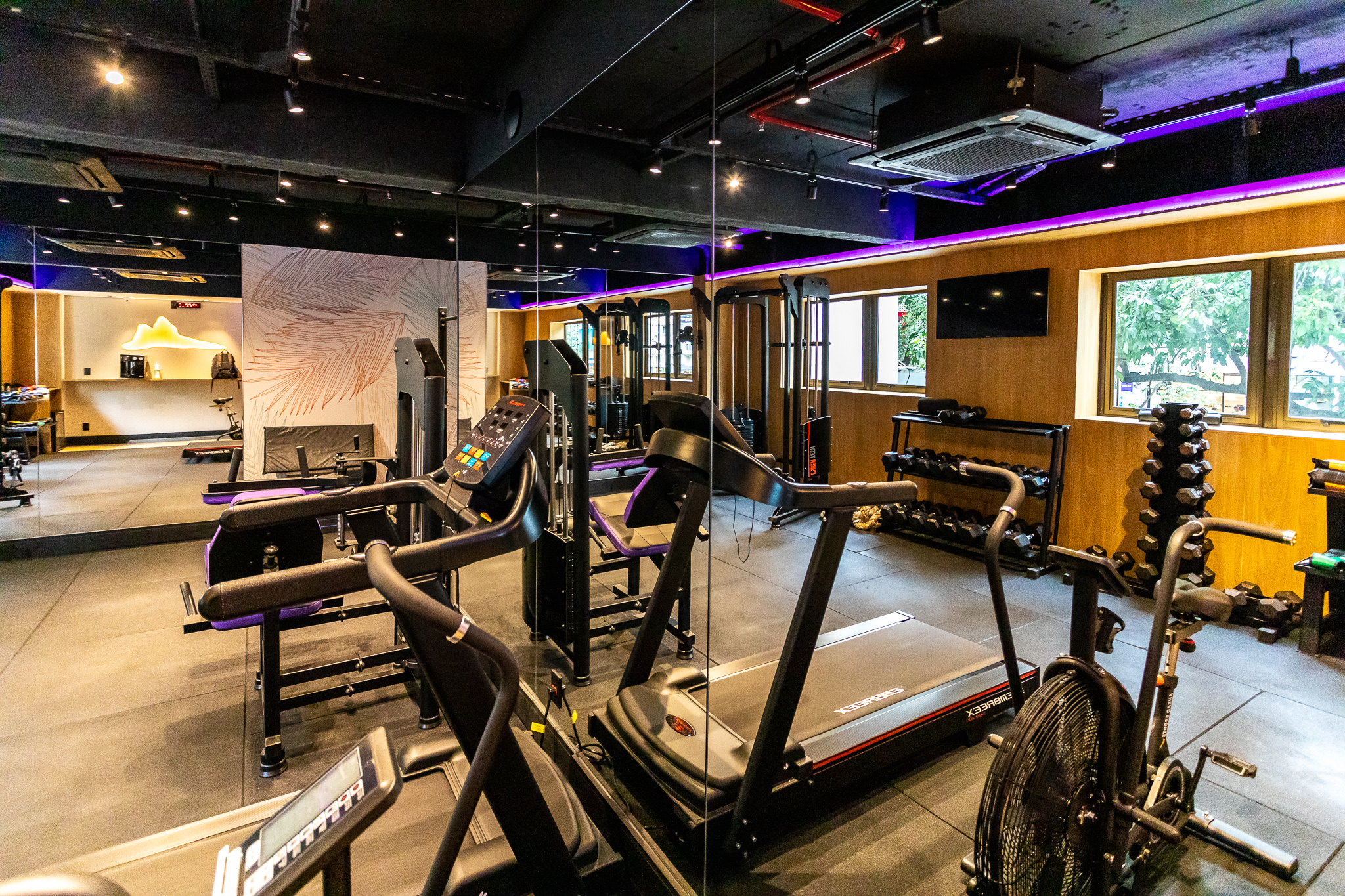 Sports and Entertainment