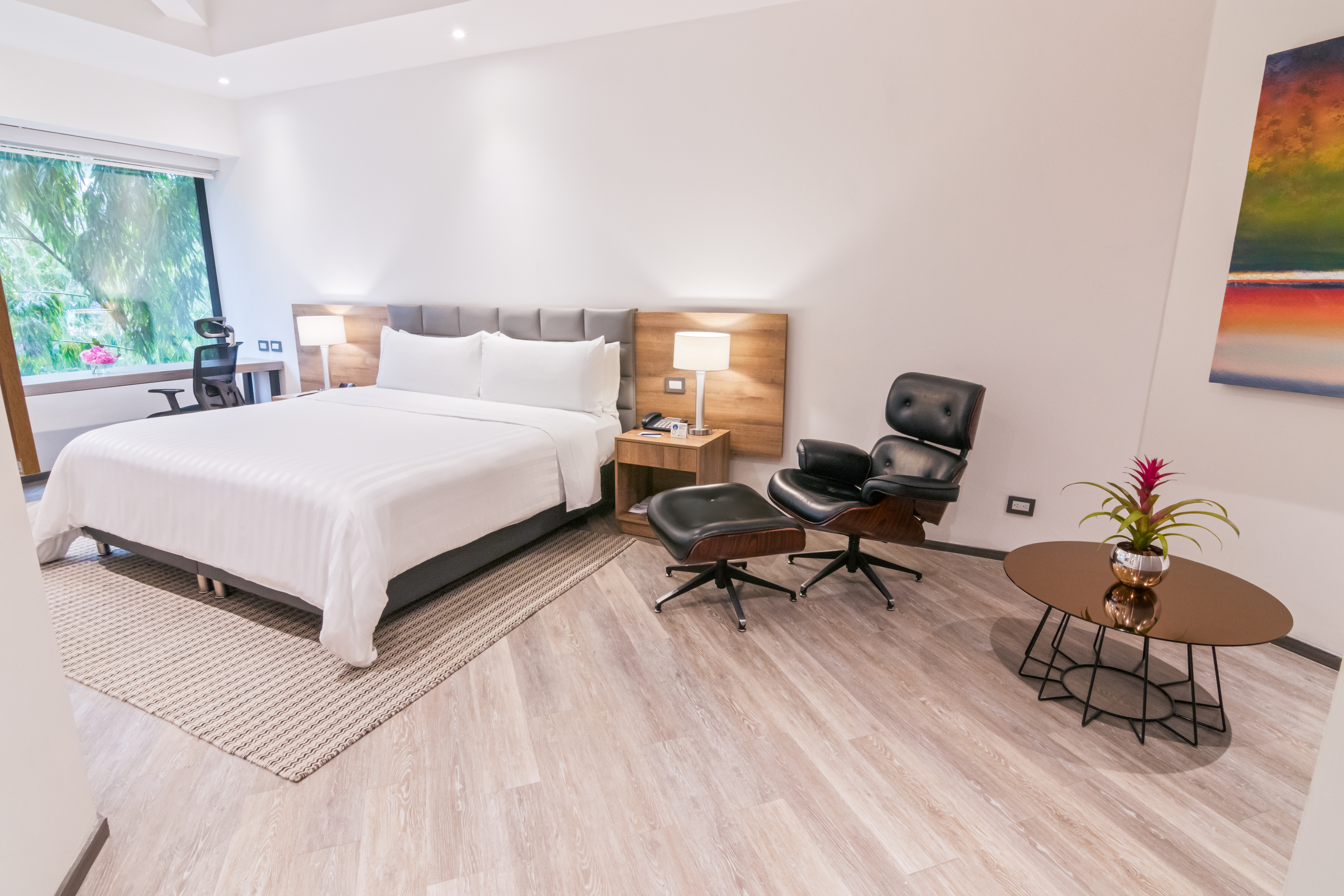 Junior Suite Standard