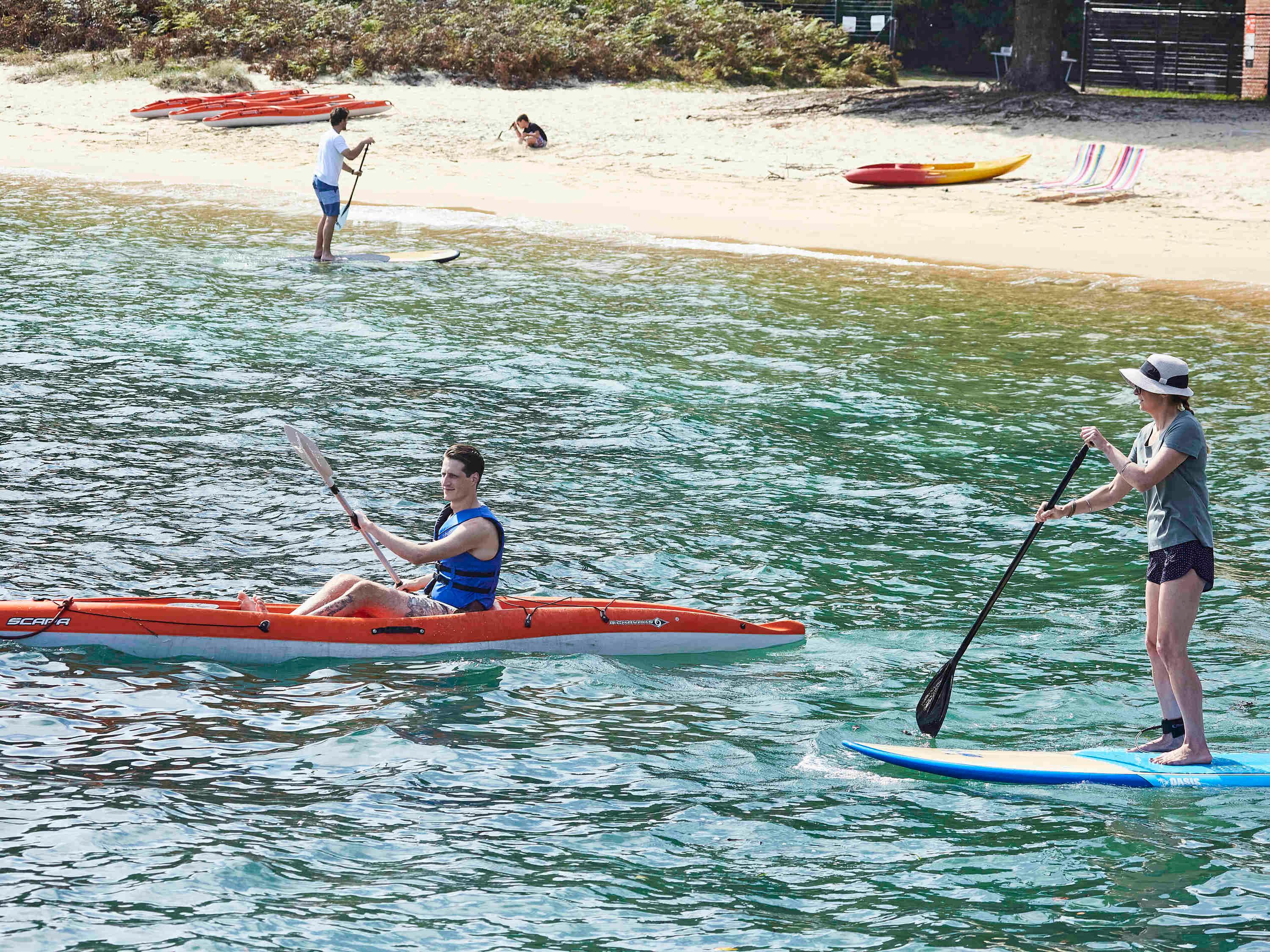 Sports and Entertainment