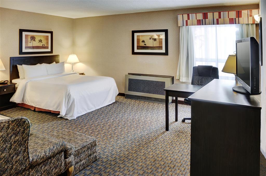 Suite Queen Size Bed