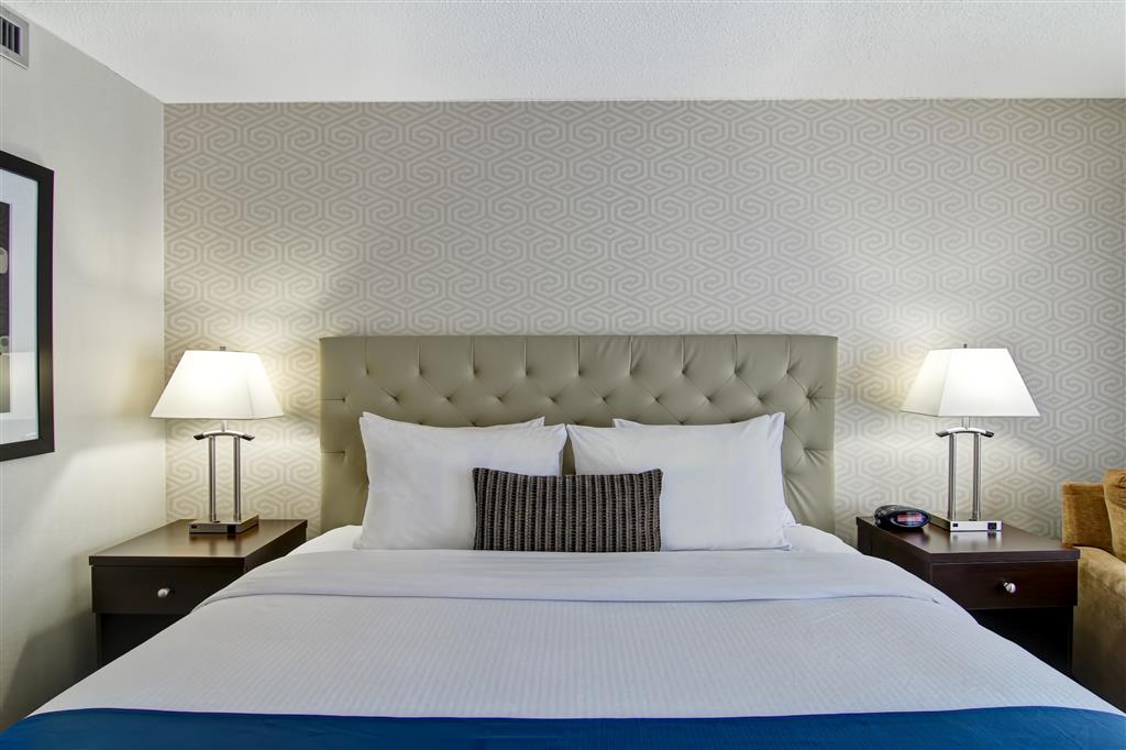 Suite Queen Size Bed