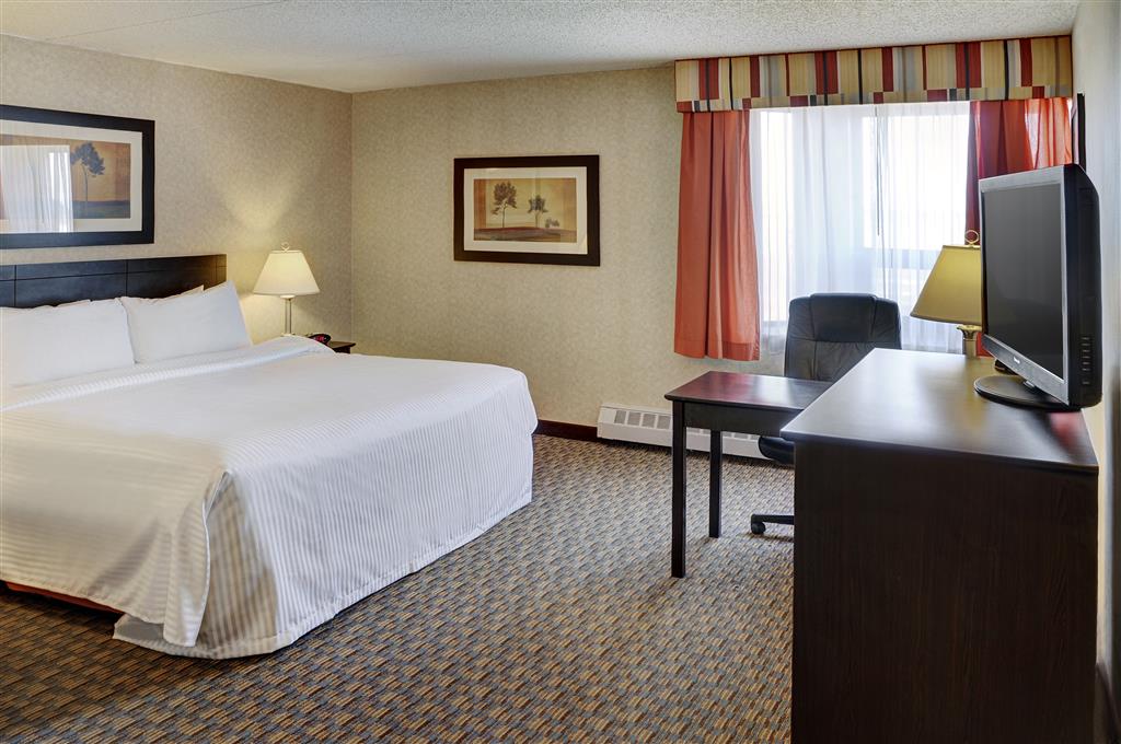 Double Queen Size Bed