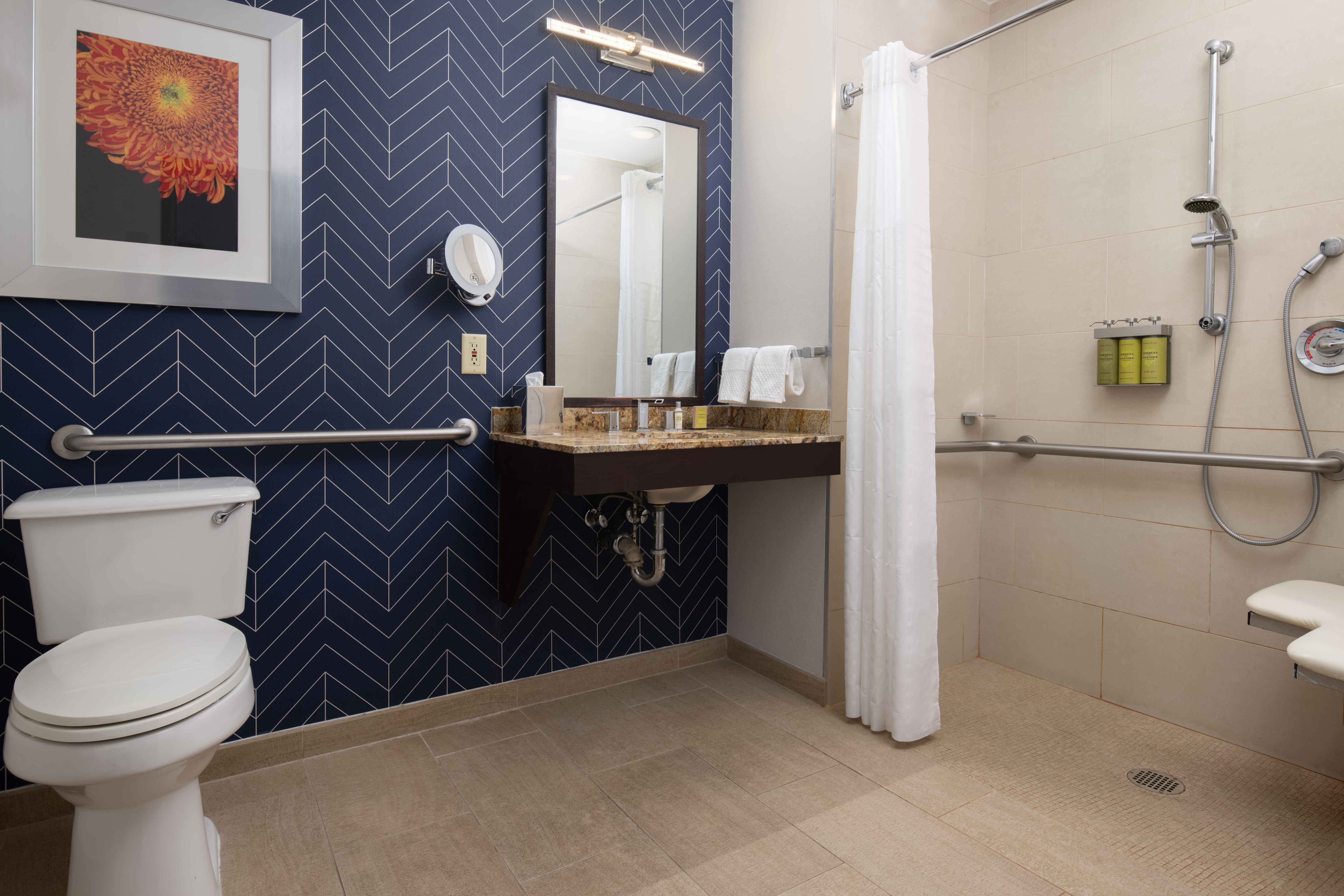 Suite King Bed One Bedroom 