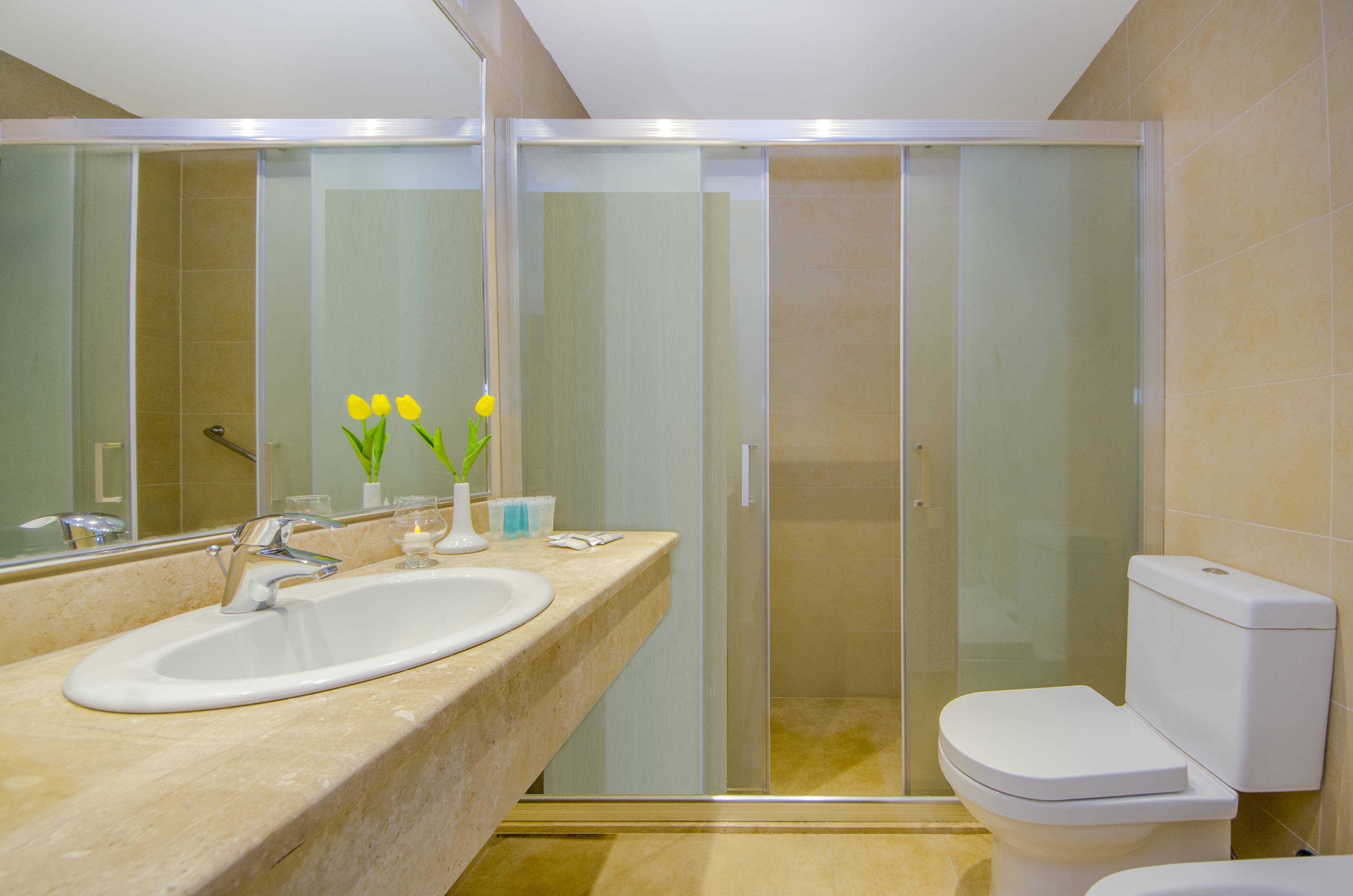 Double or Twin Standard