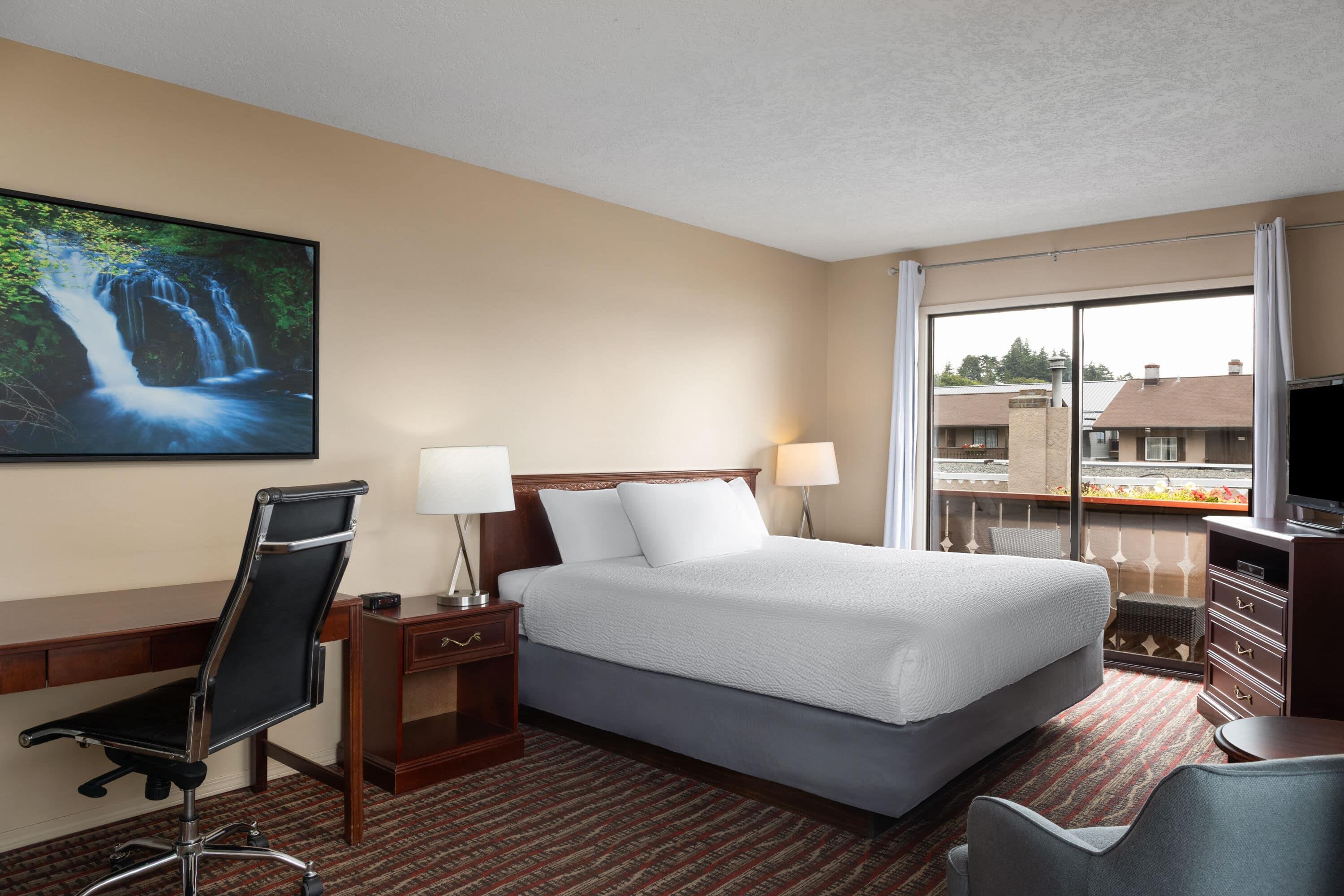 Suite Superior