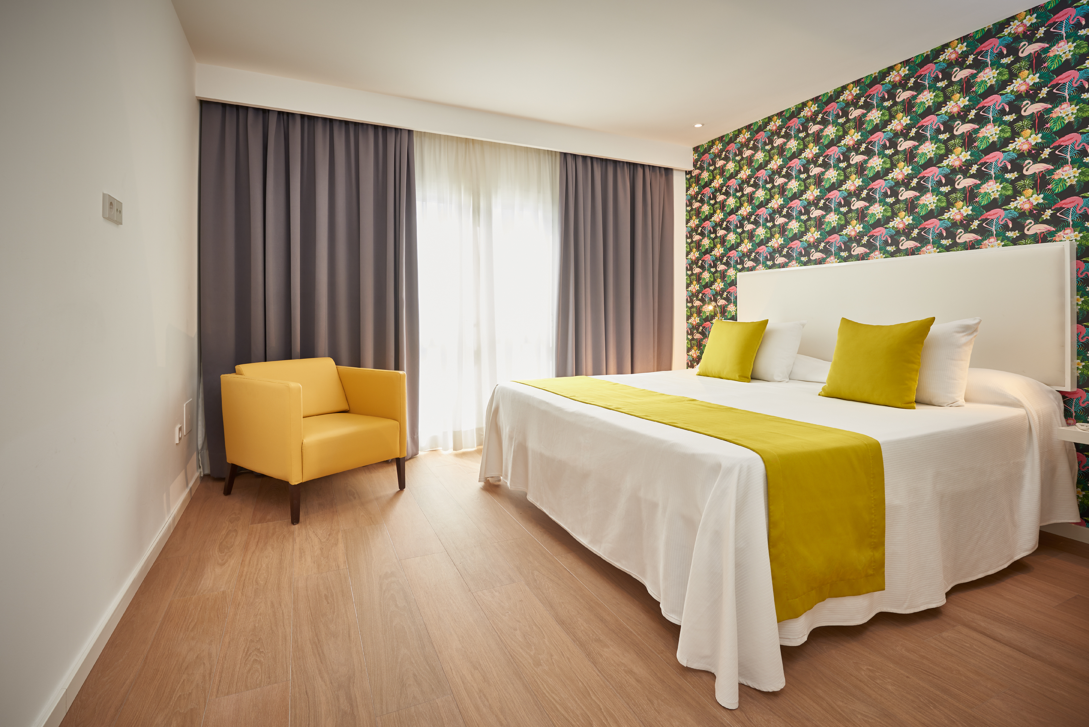 Apartment Premium One Bedroom