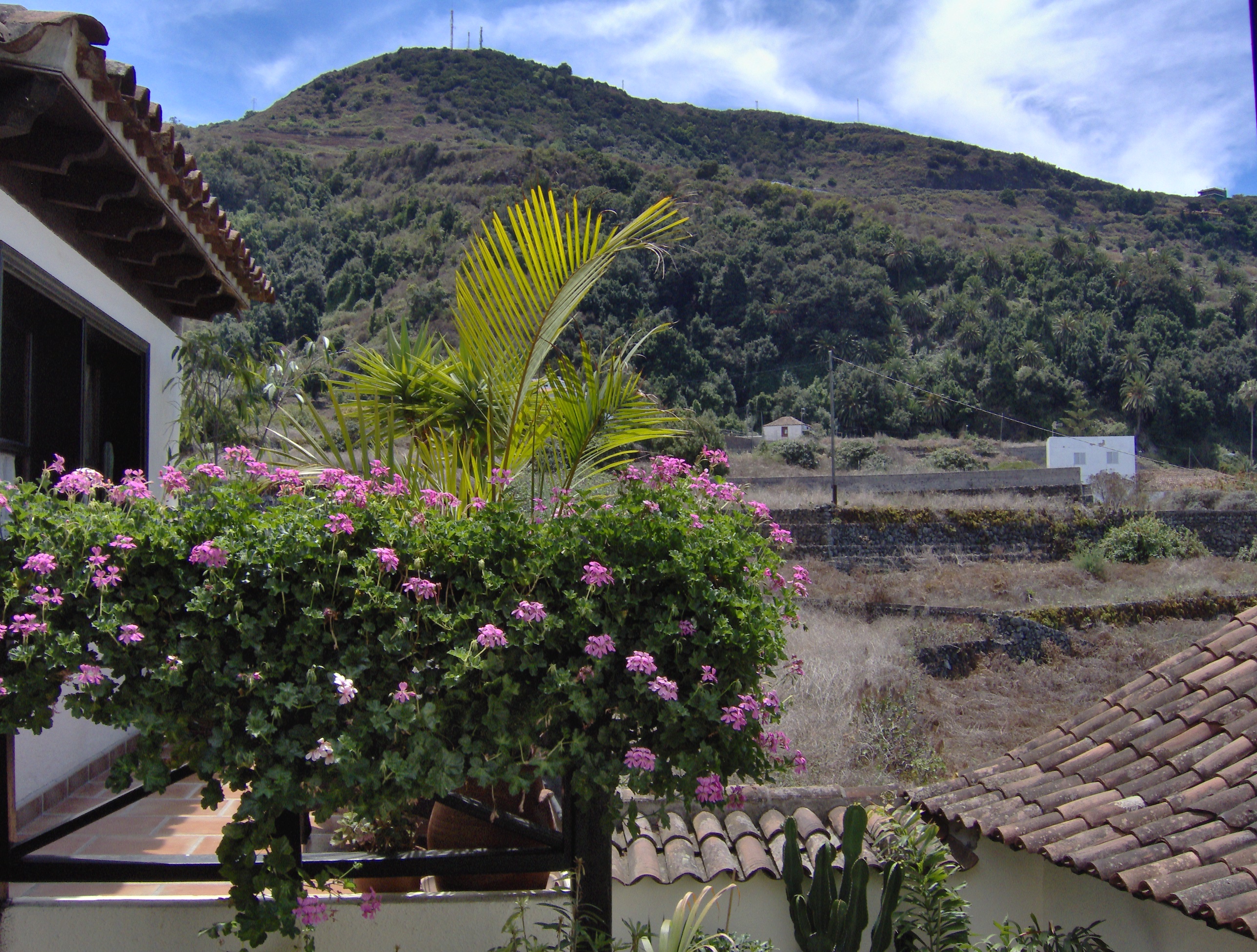 Apartment with Terrace