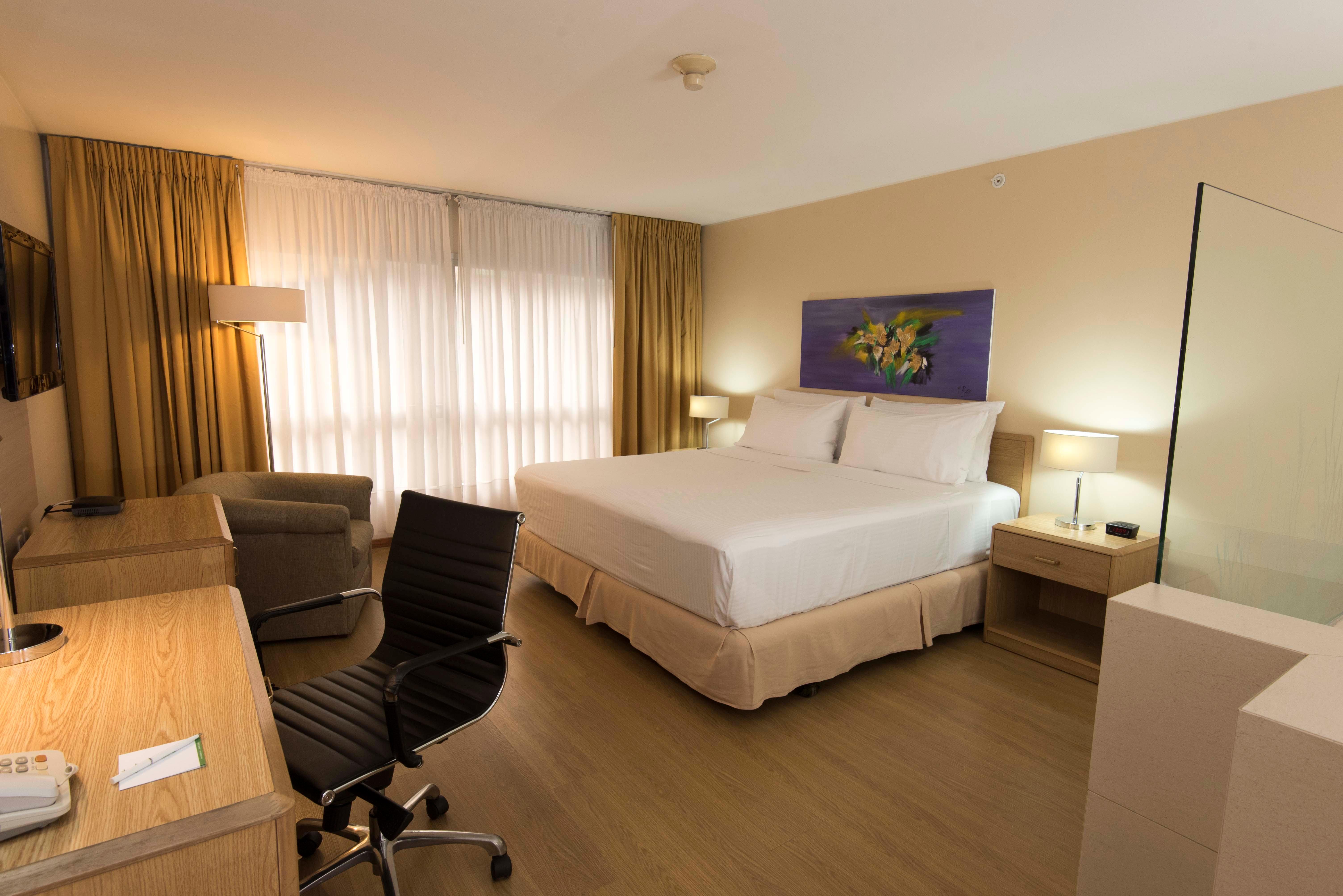 Suite King Bed Non Smoking