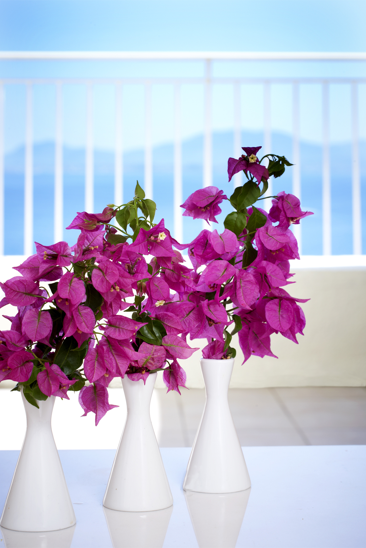 Family Room Sea View Capacity 5