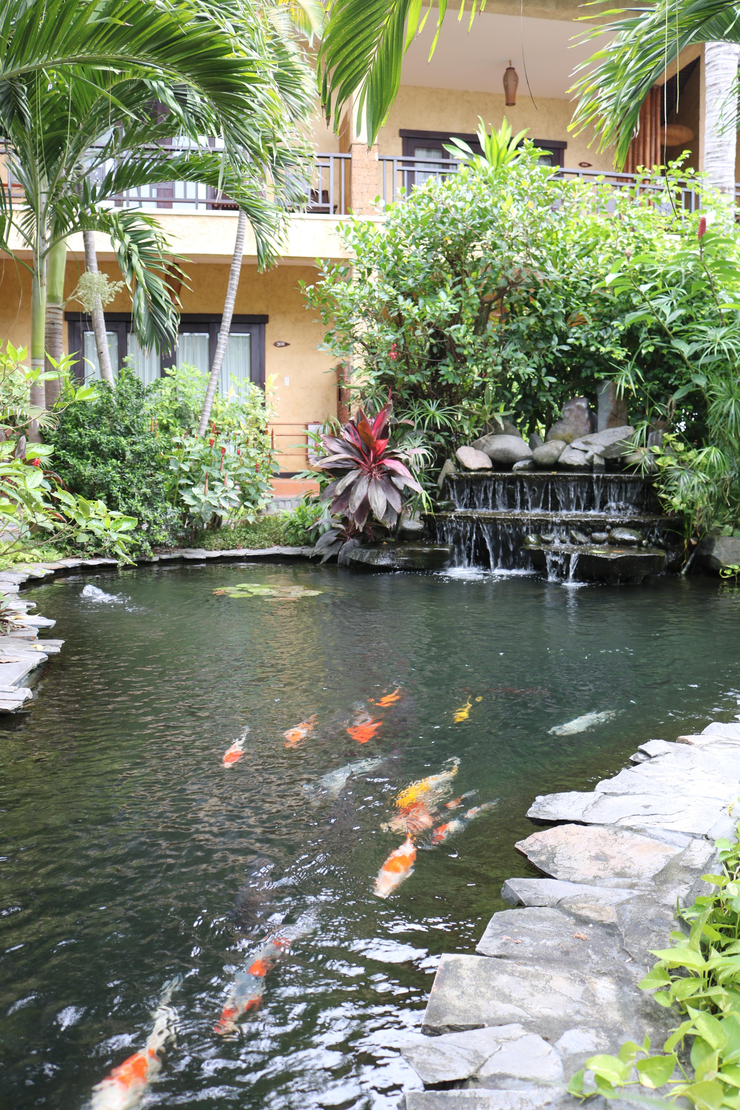 Double or Twin One Bed