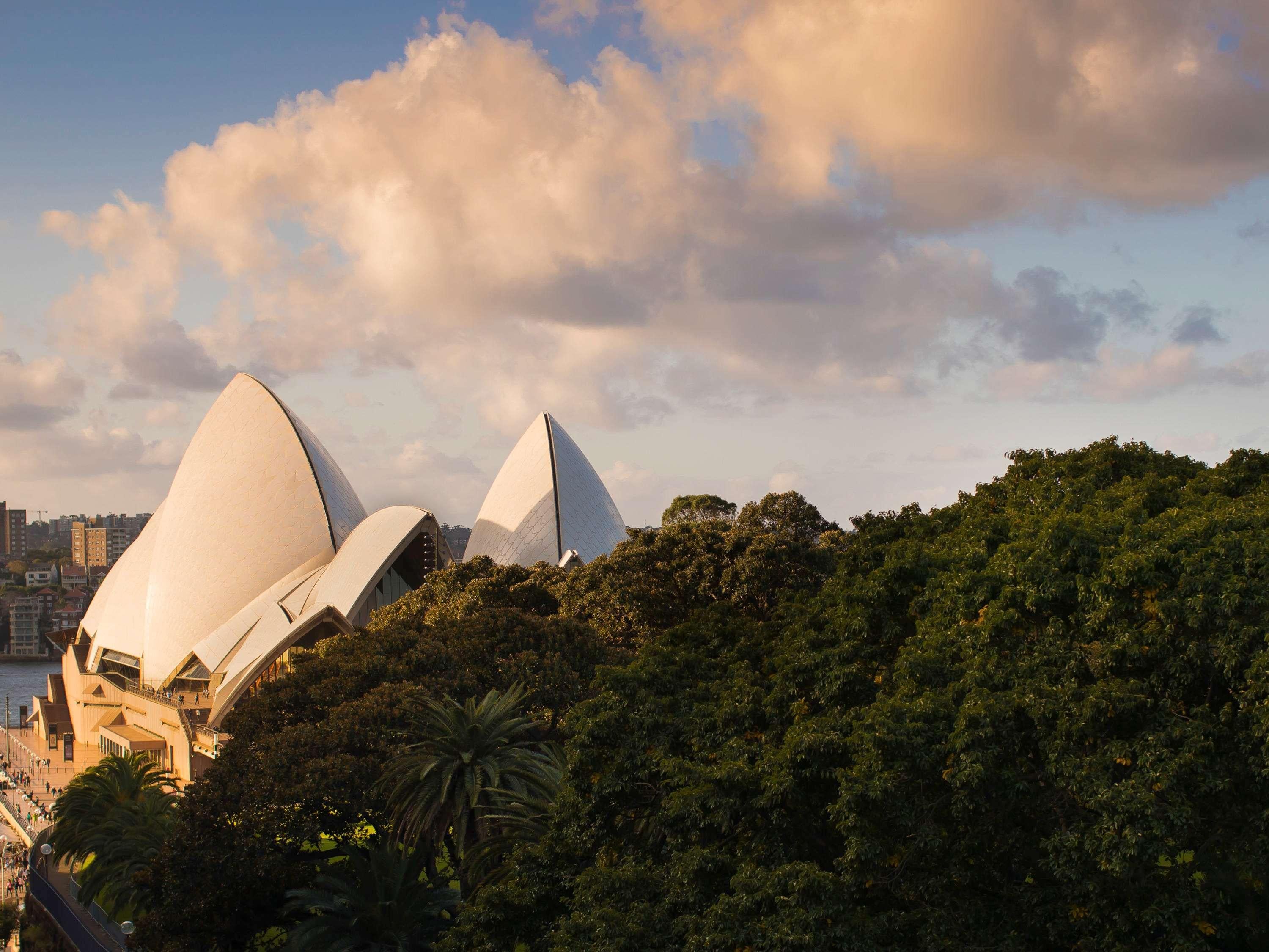 Suite Deluxe King Bed