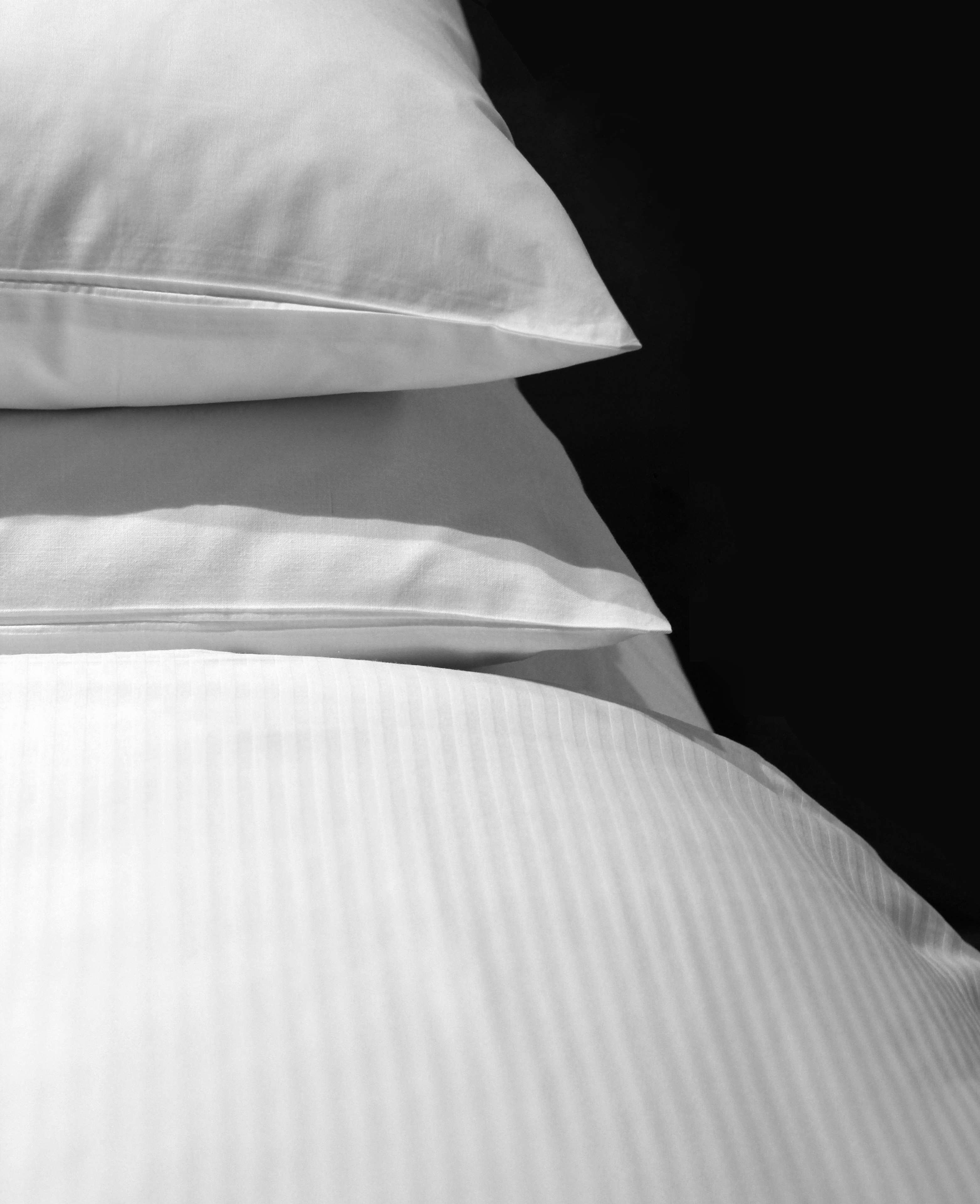 Family Room Connecting Room