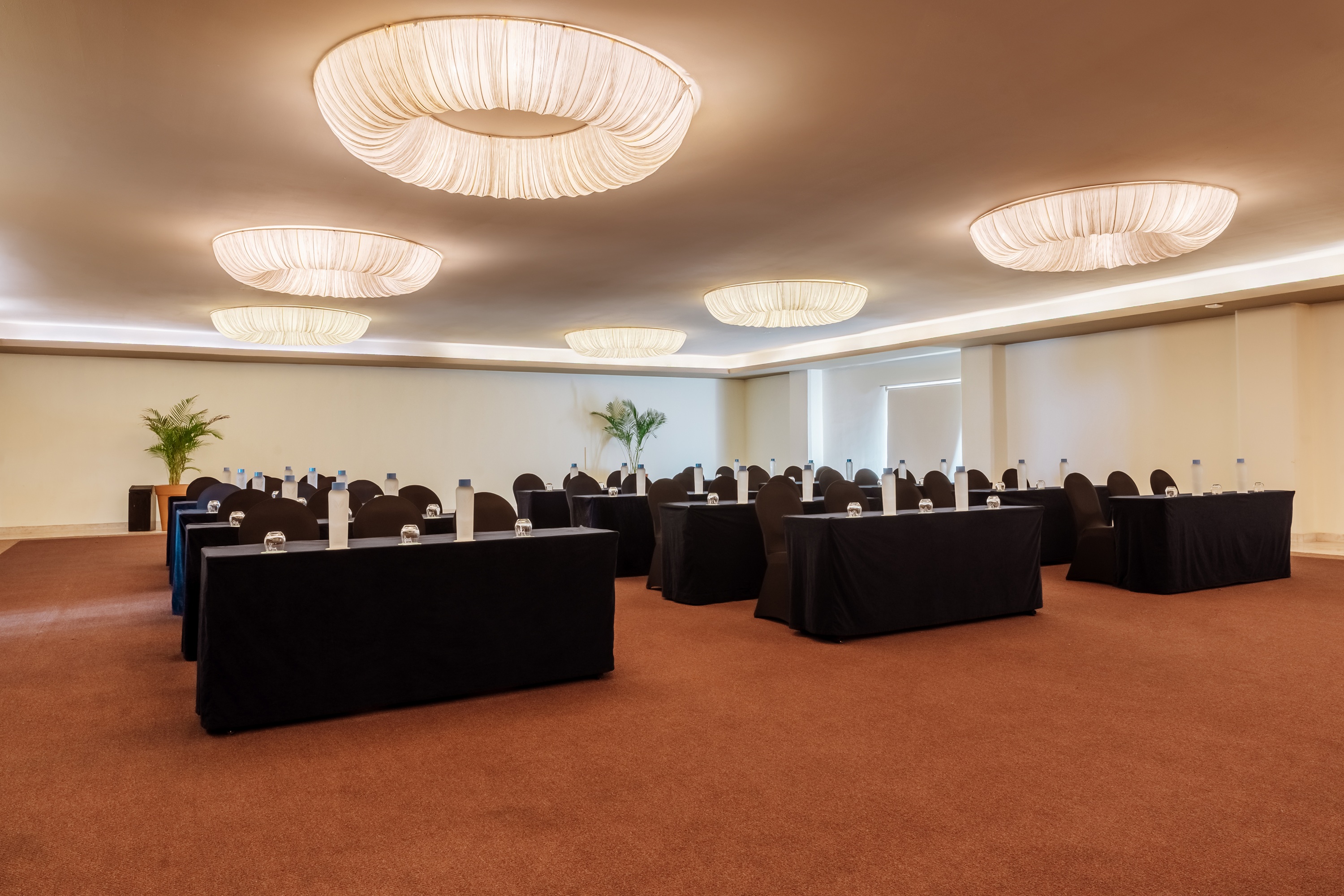 Conferences