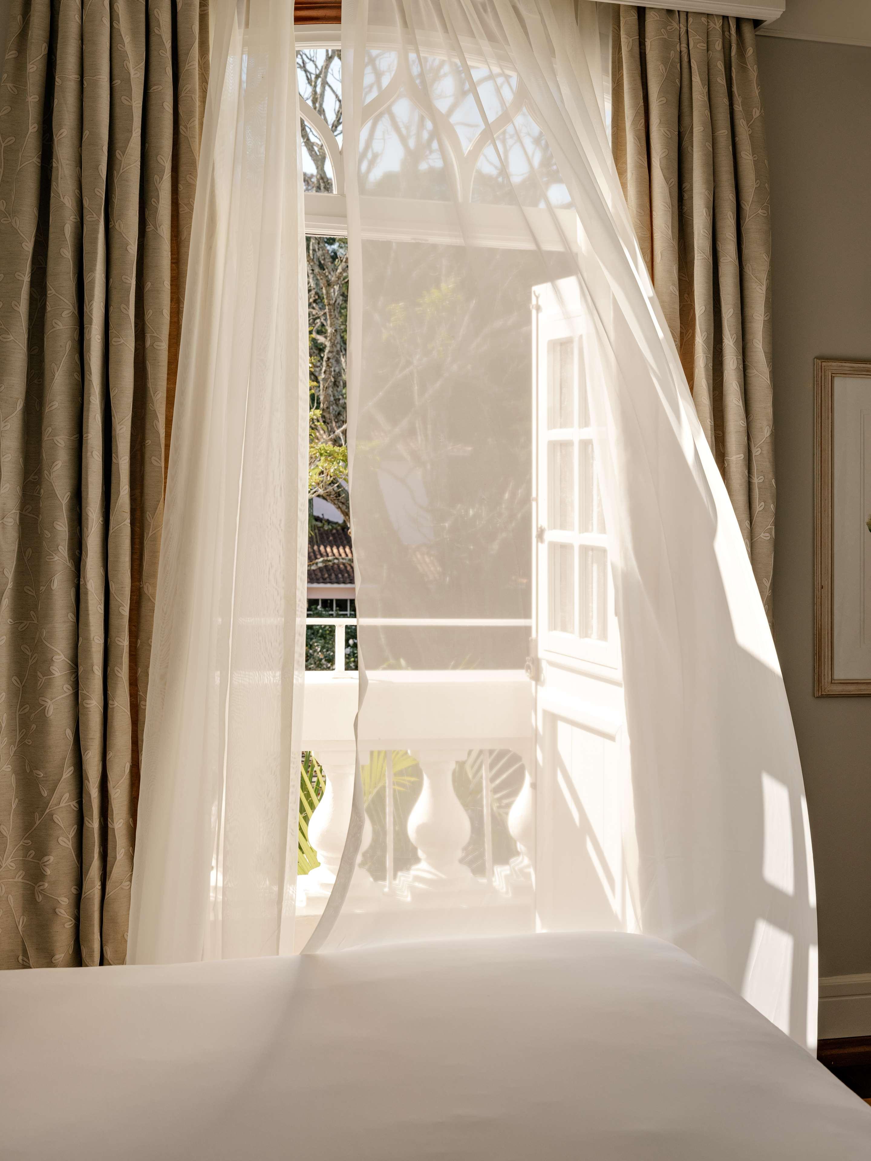 Suite Superior