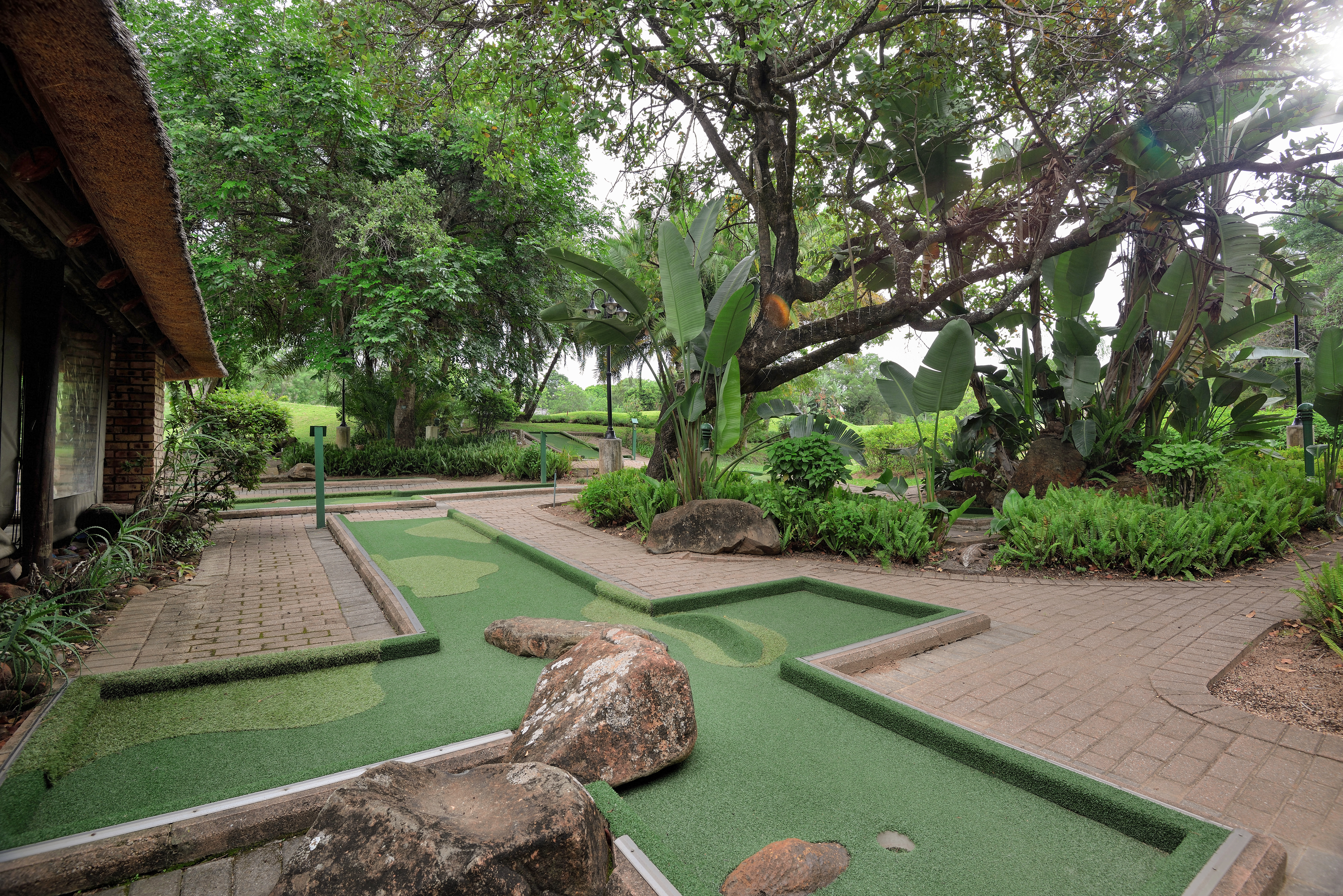 Sports and Entertainment