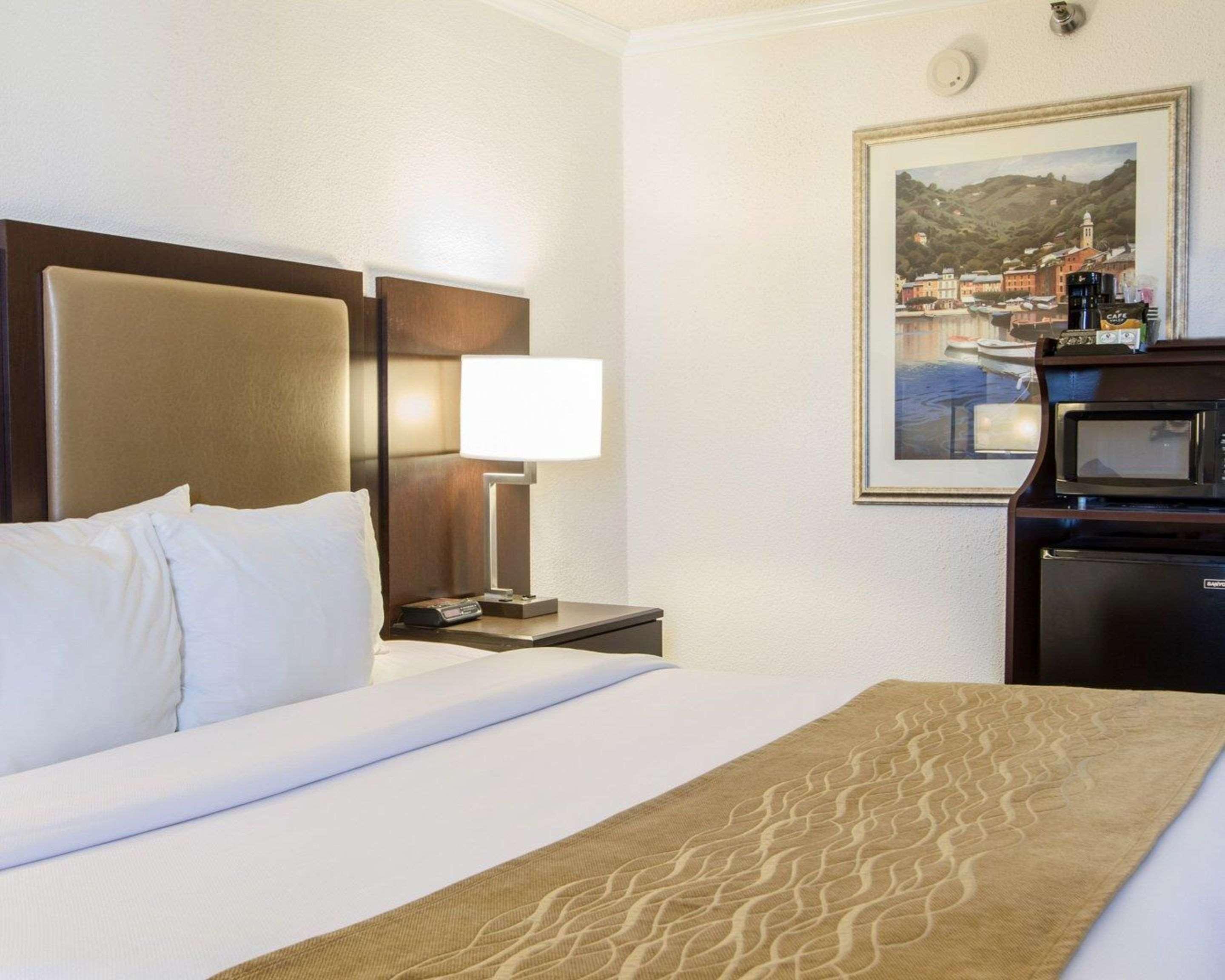 Double King Bed Non Smoking