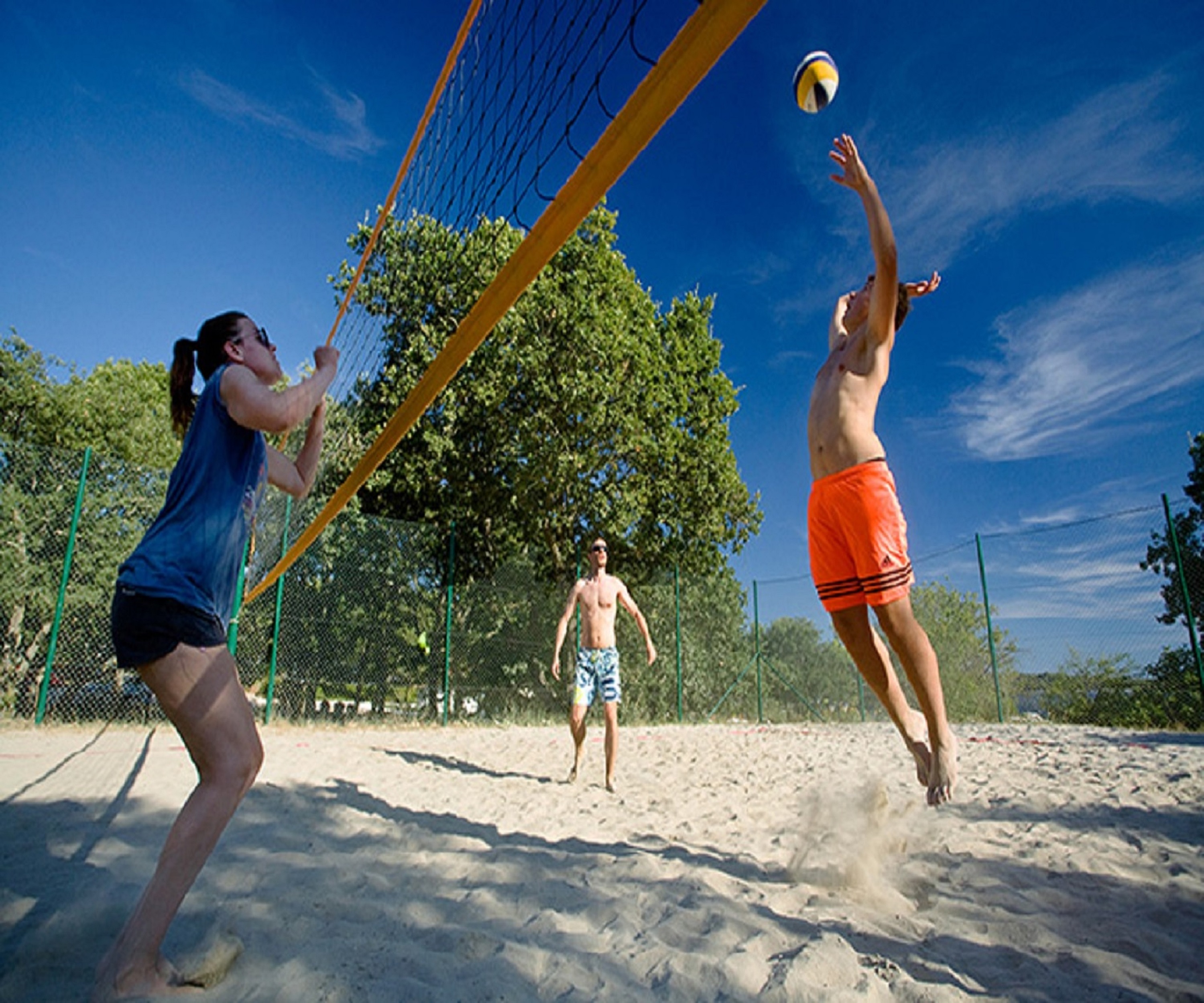 Sports and Entertainment