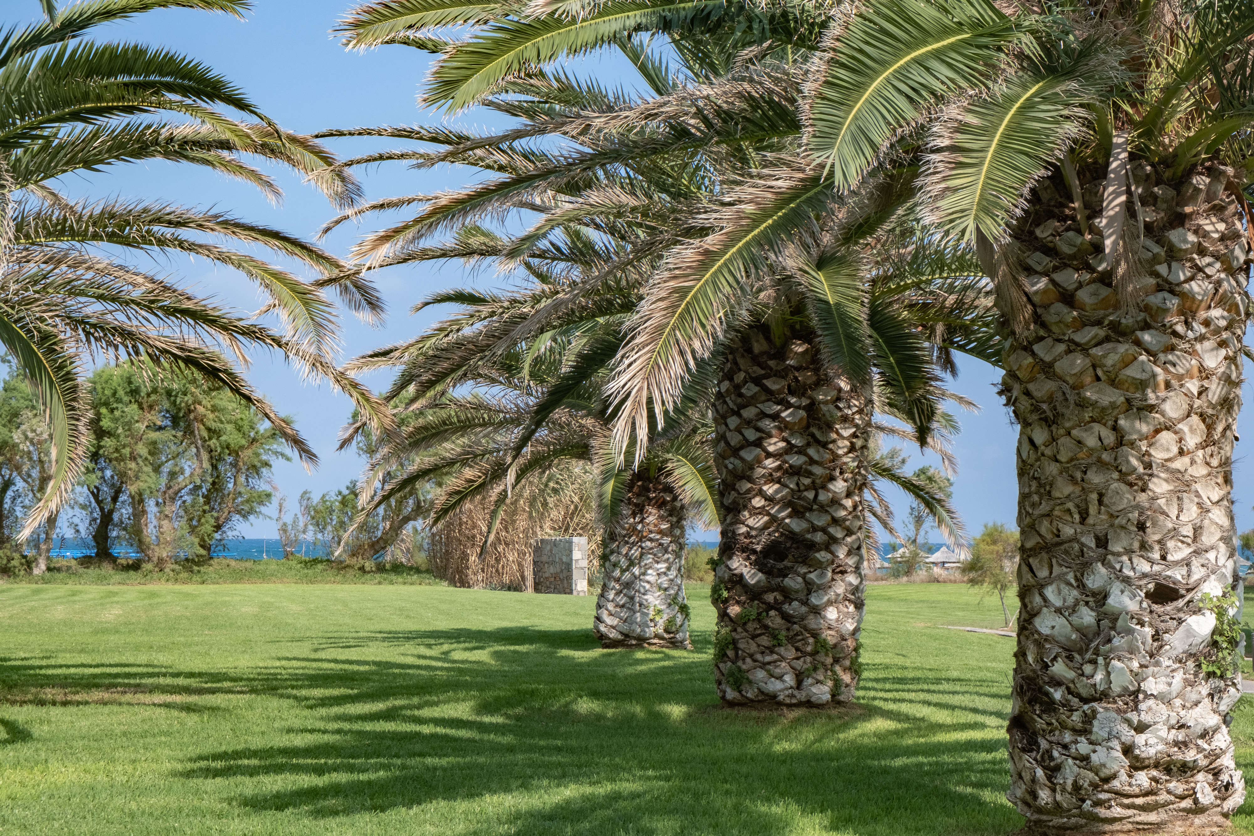 Bungalow Side Sea View