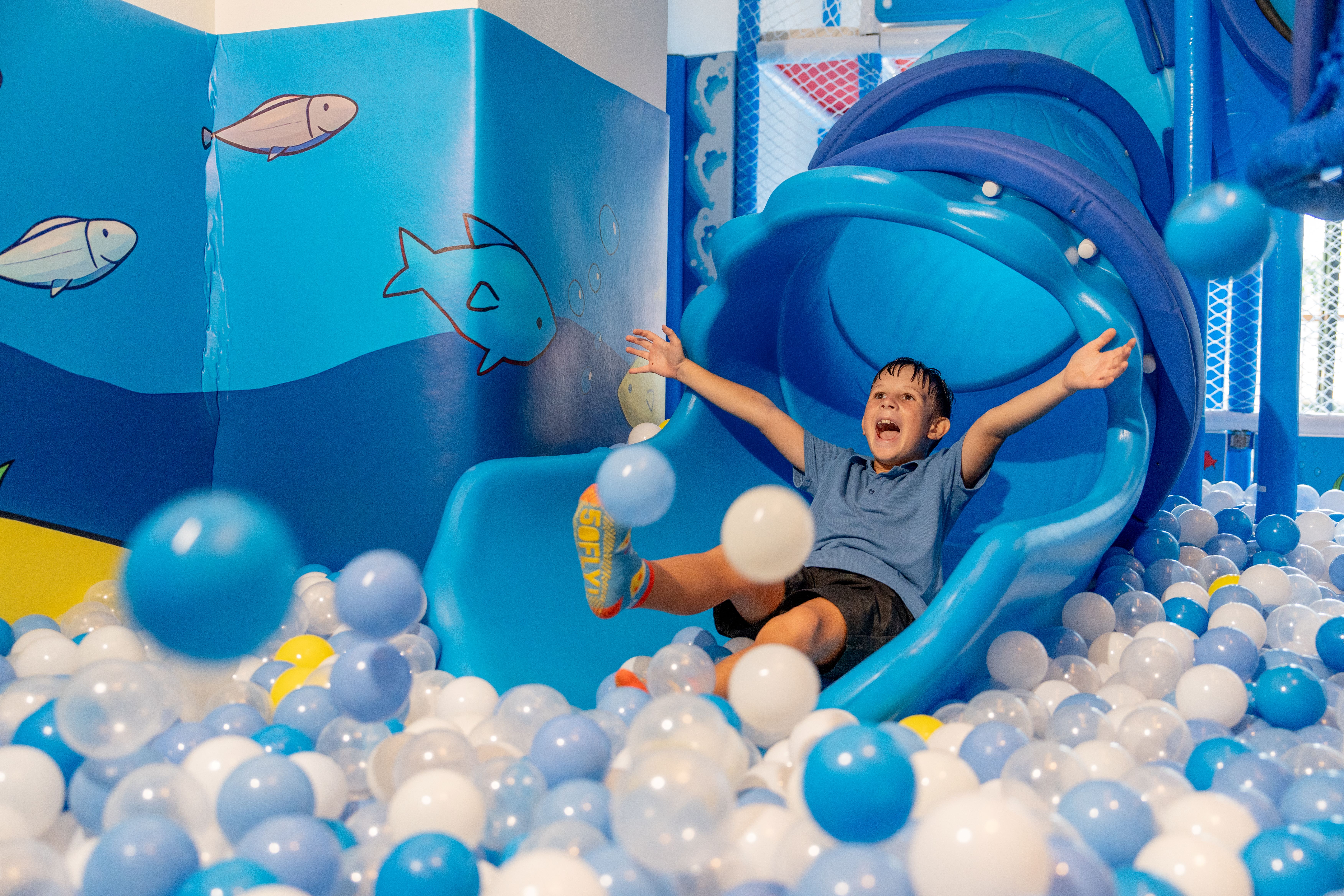 Sports and Entertainment