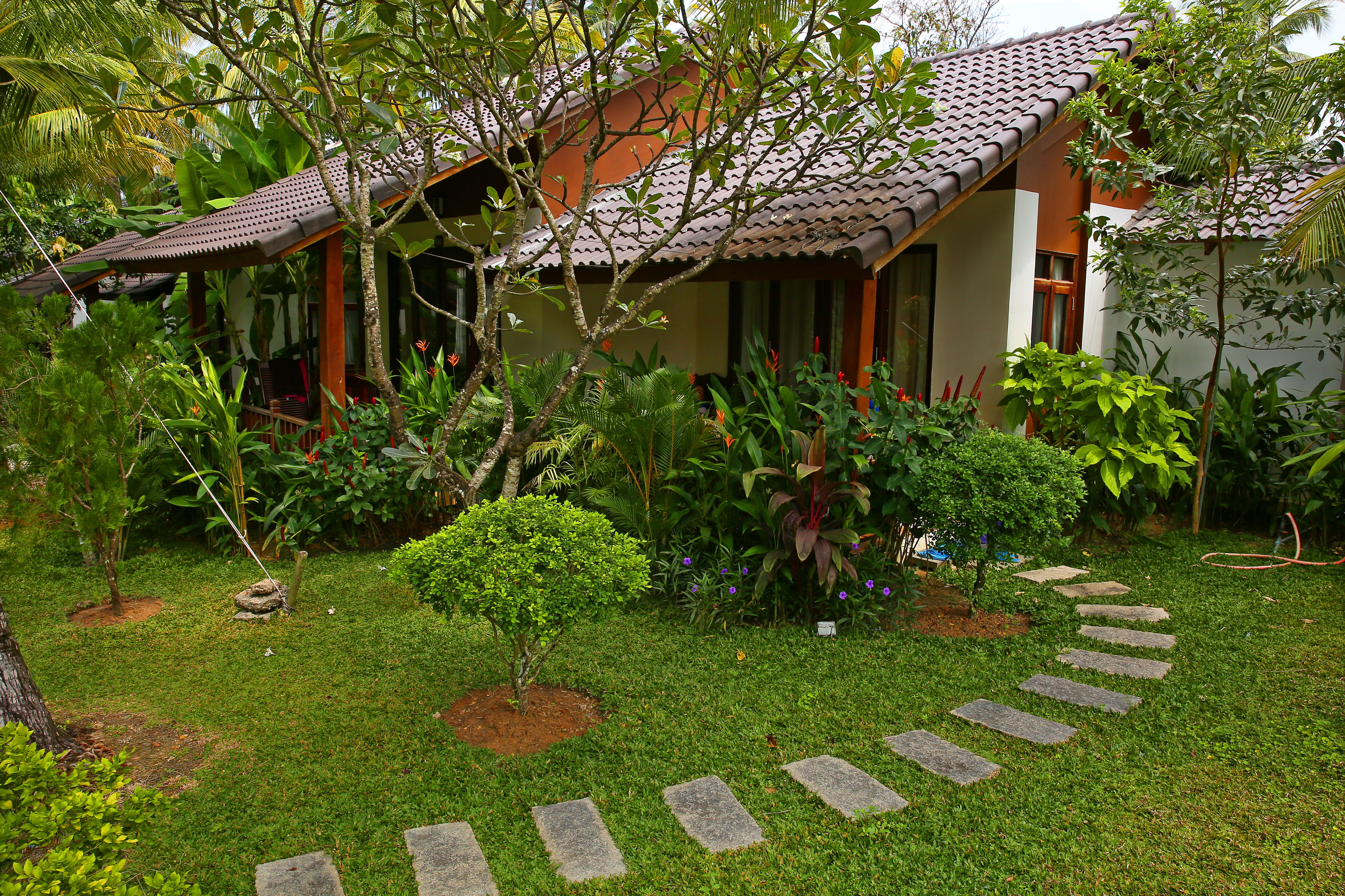 Bungalow Garden View