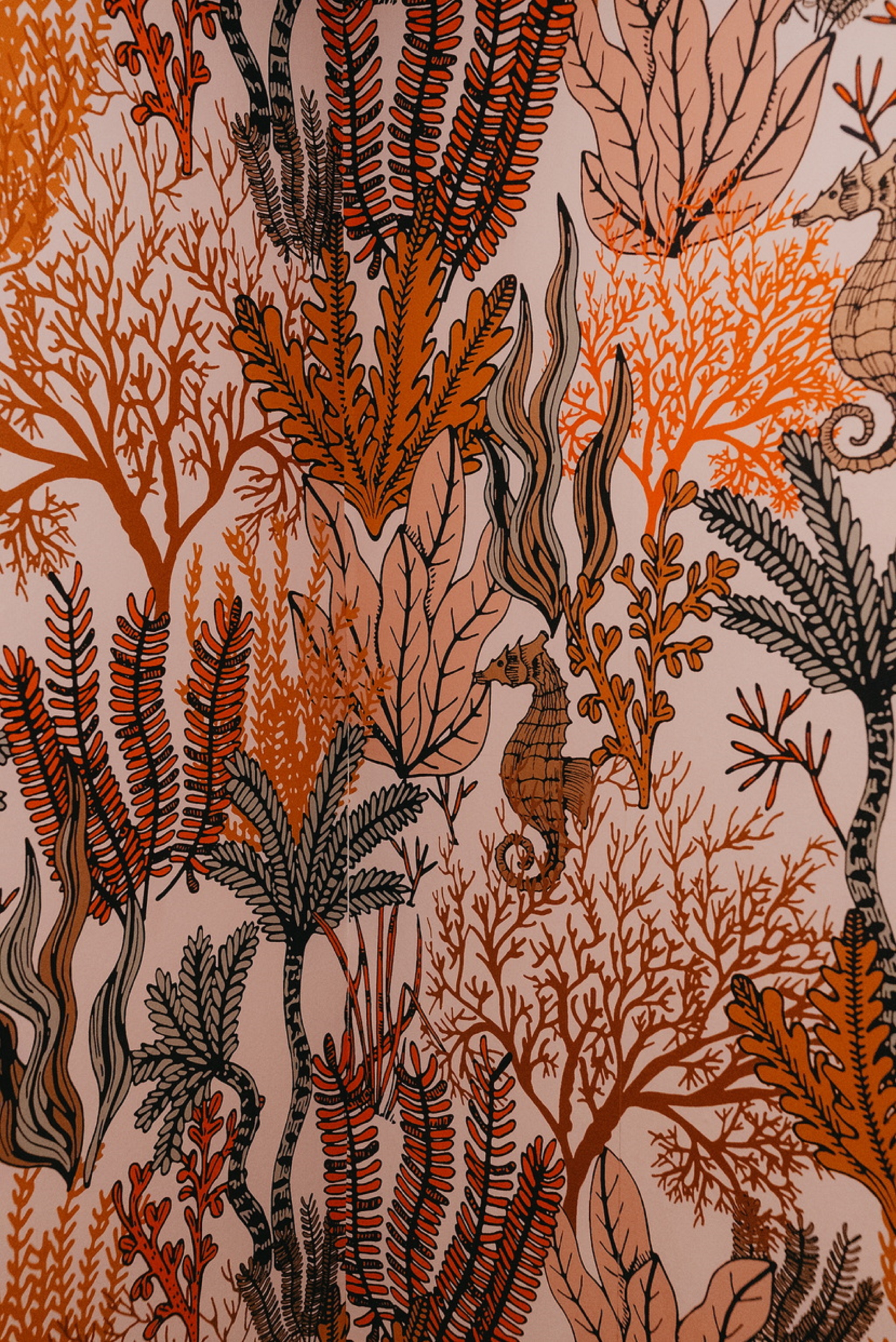 Junior Suite Capacity 1