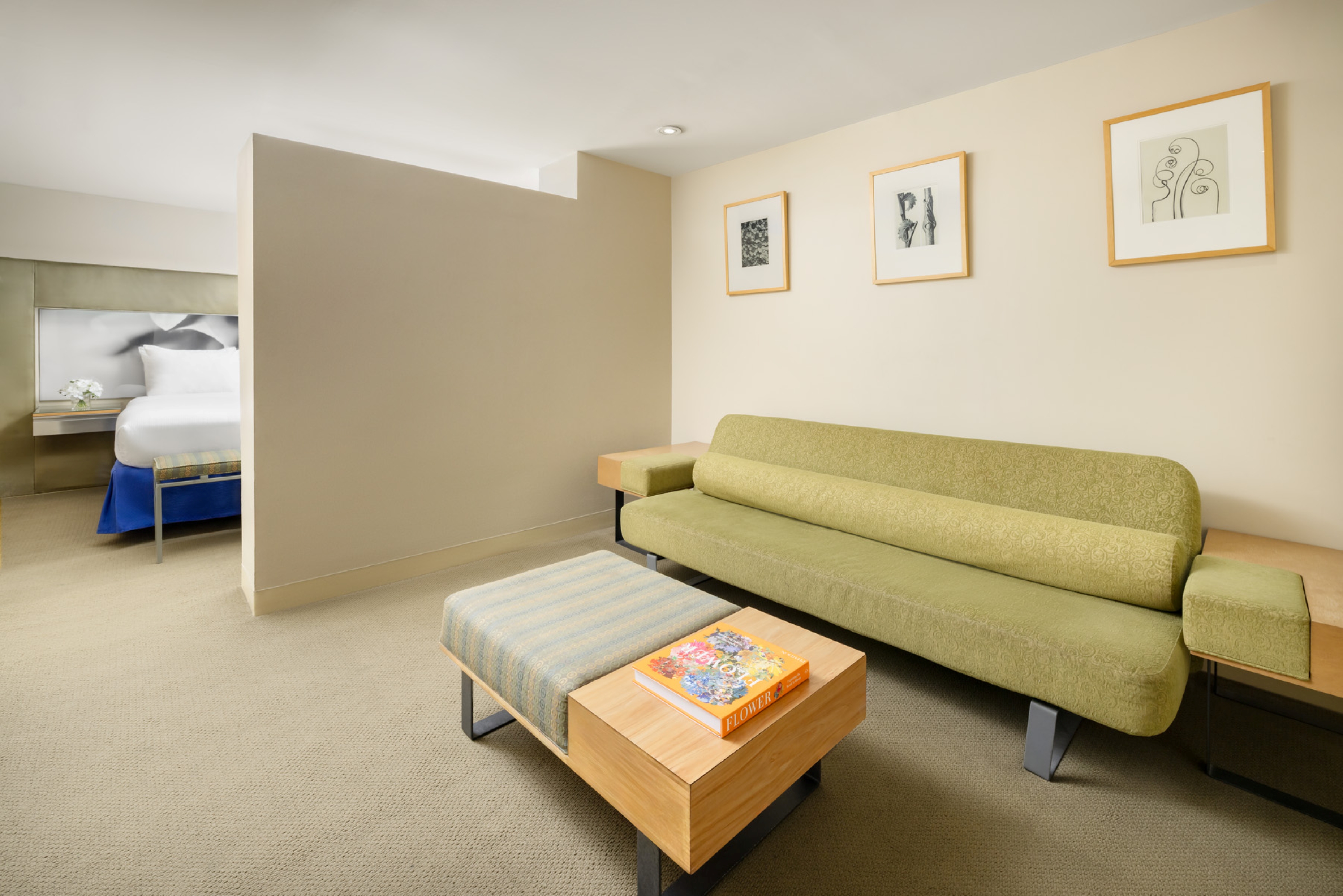 Junior Suite Queen Size Bed
