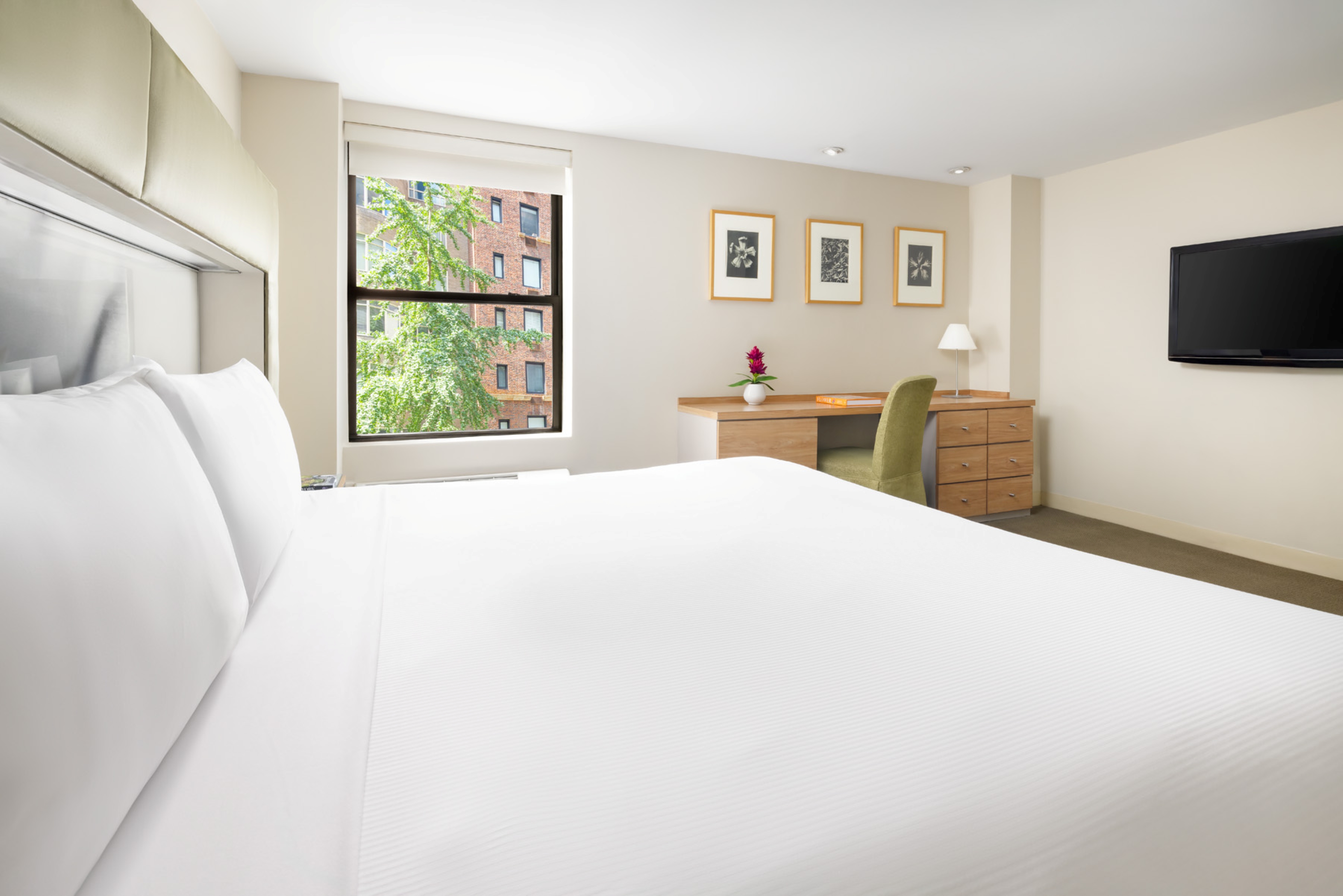Room King Size Bed
