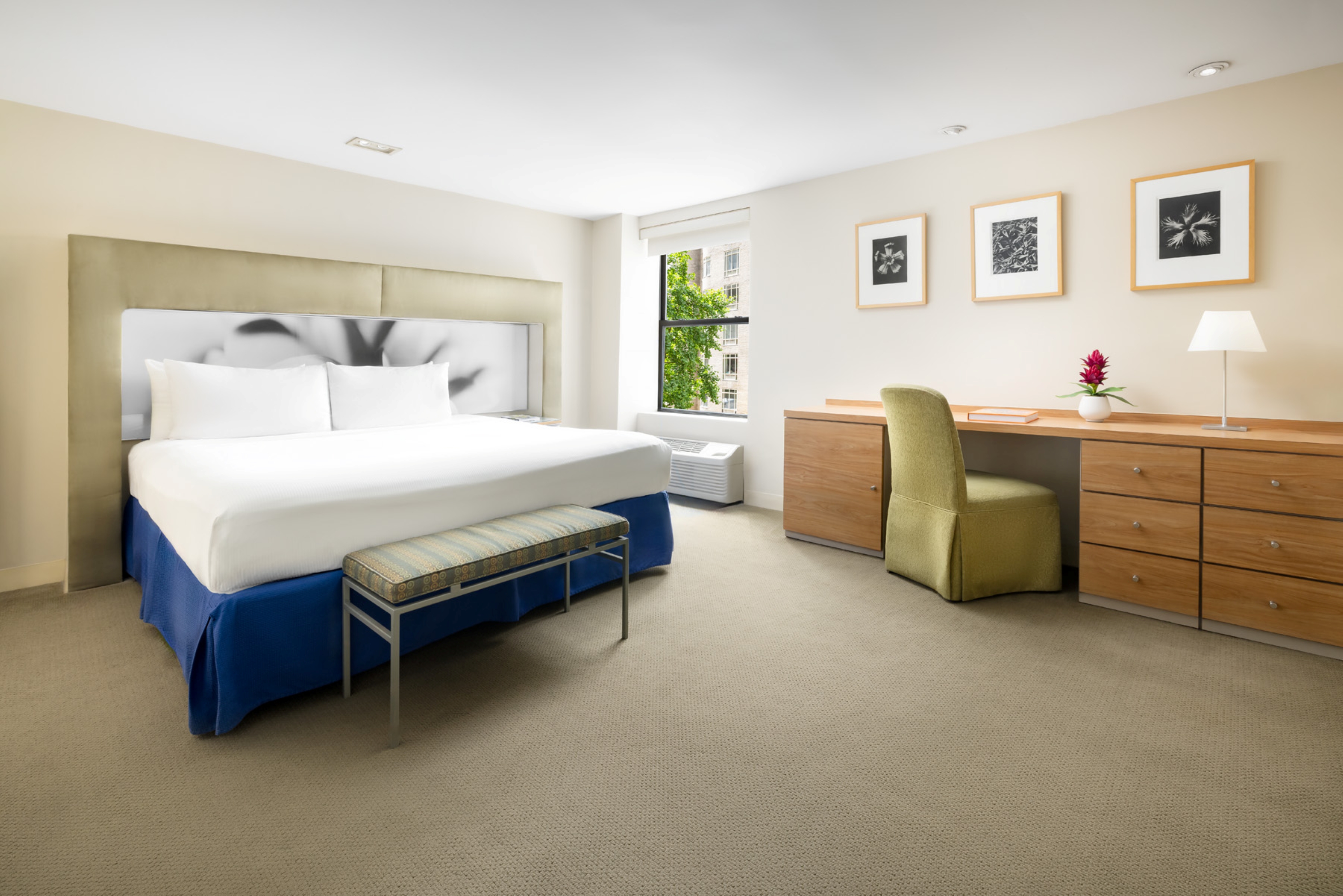 Room King Size Bed