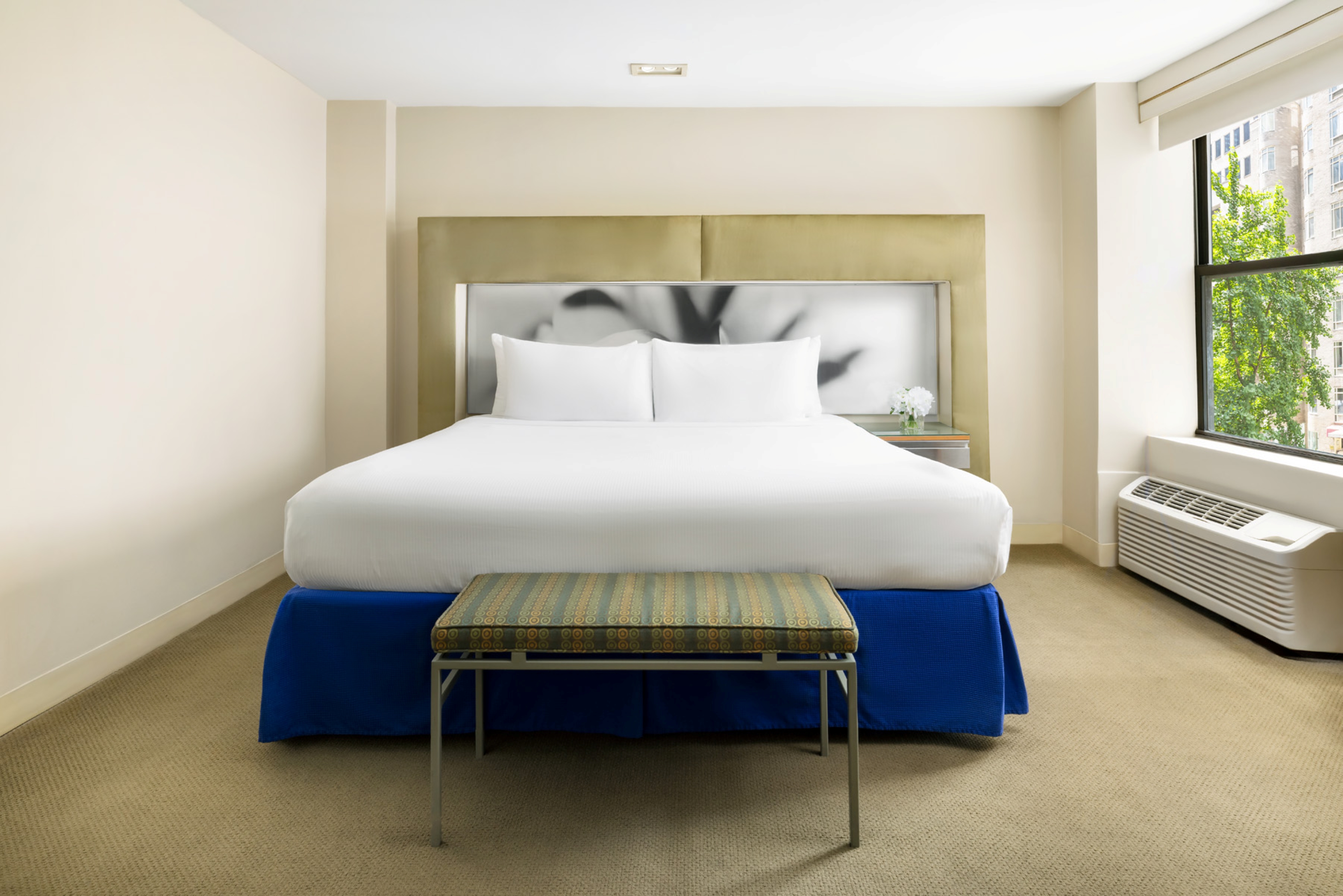 Room King Size Bed