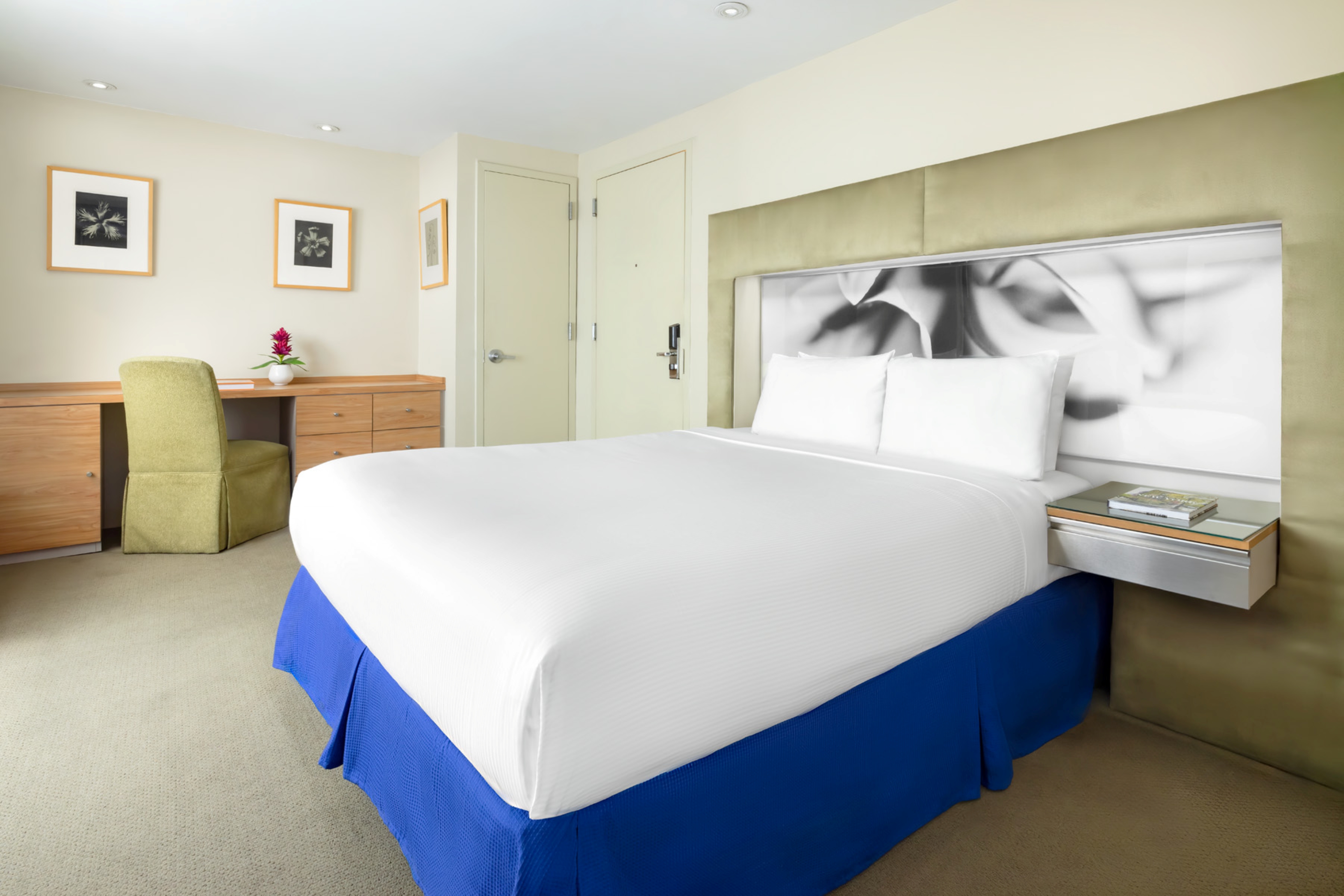 Room Queen Size Bed