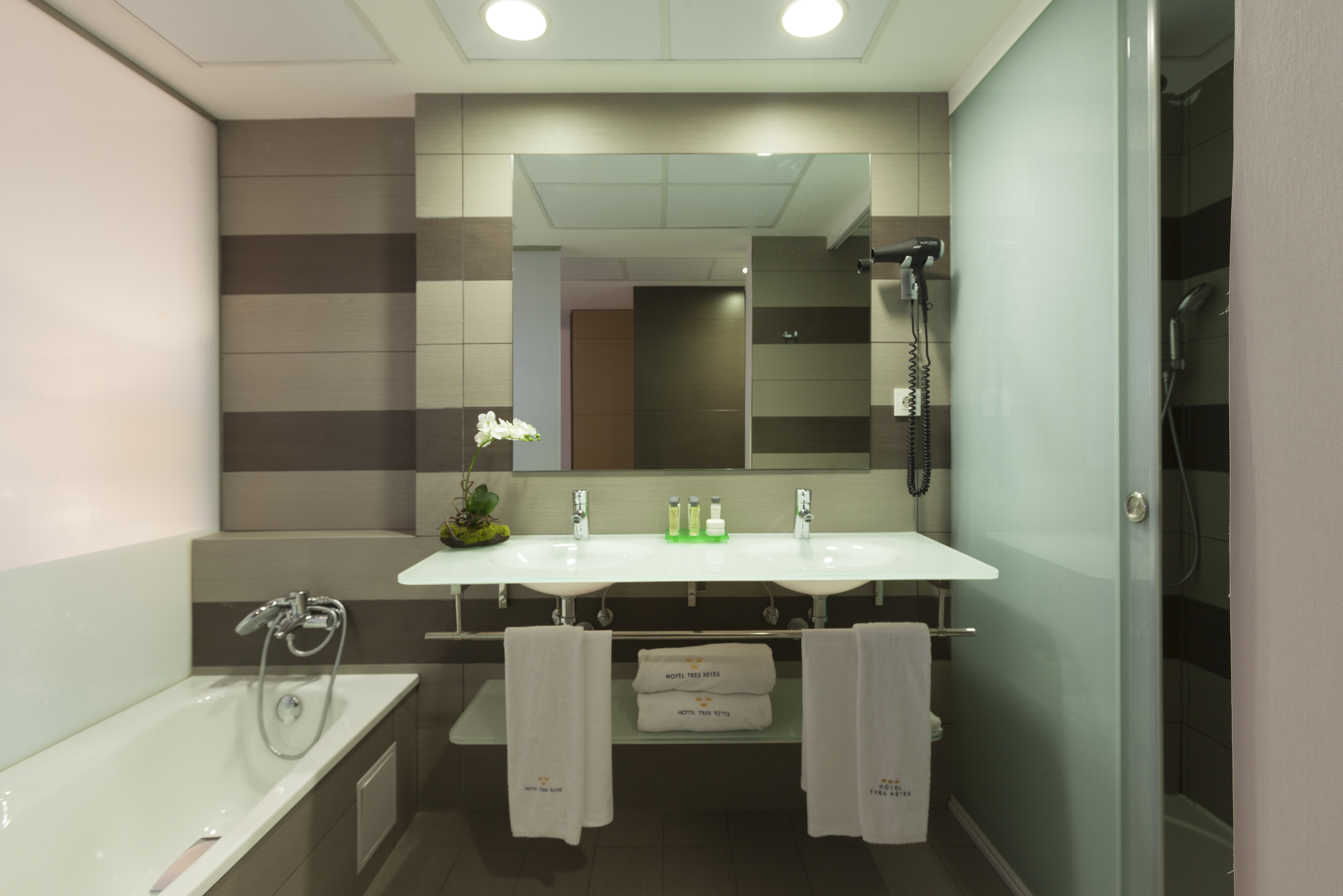 Family Room Standard