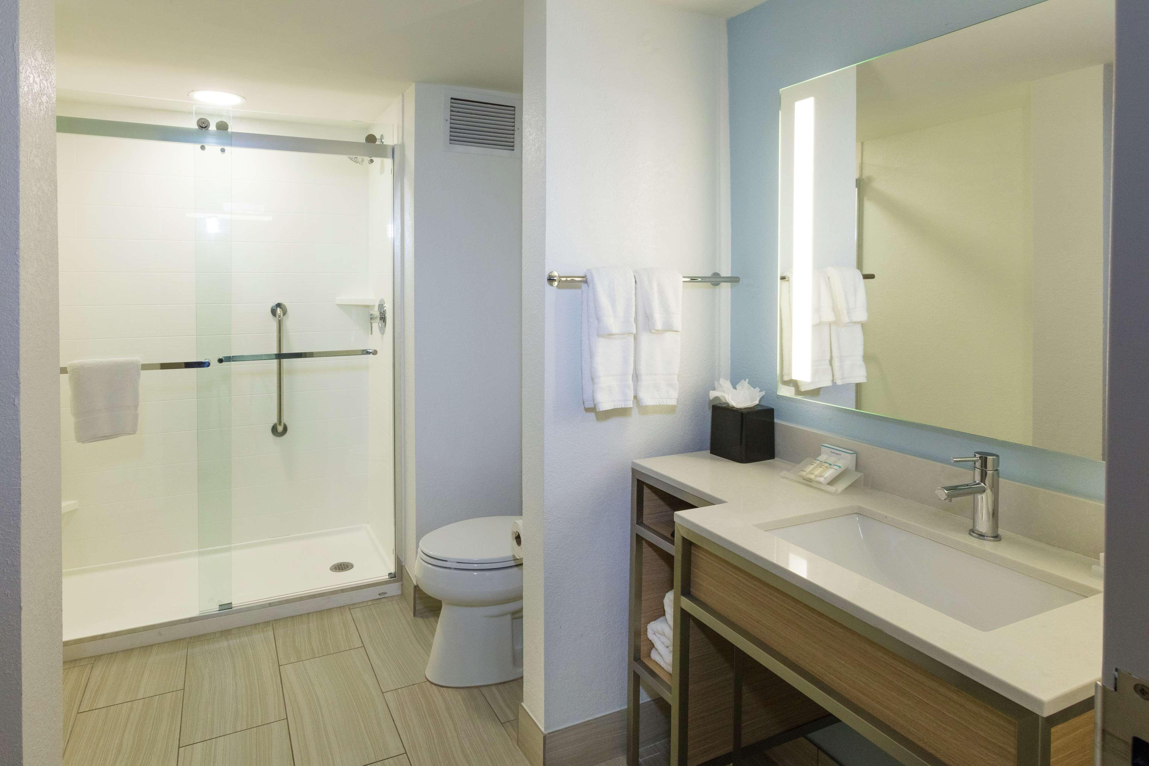 Suite King Bed One Bedroom 