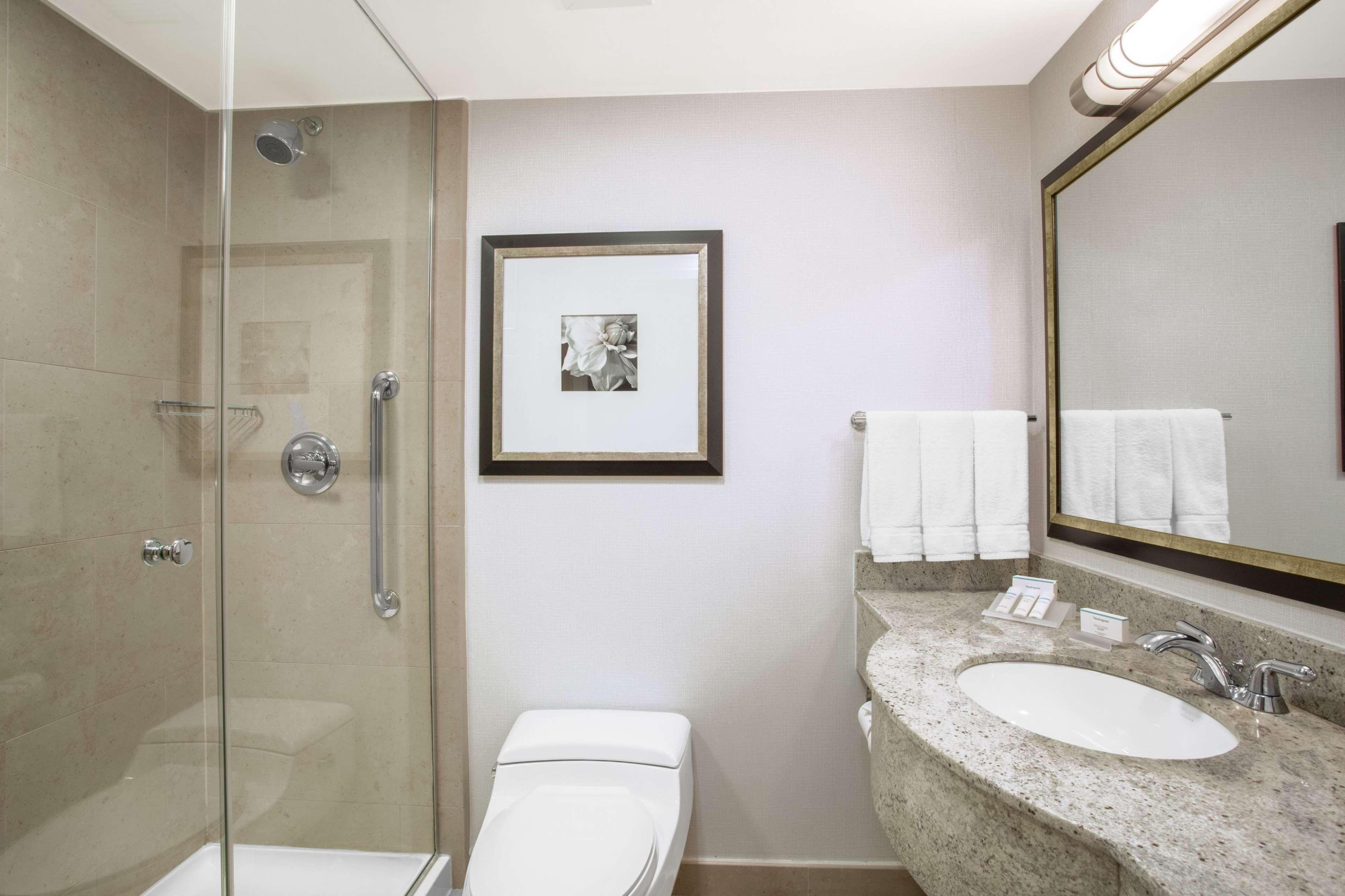 Double City View King Bed