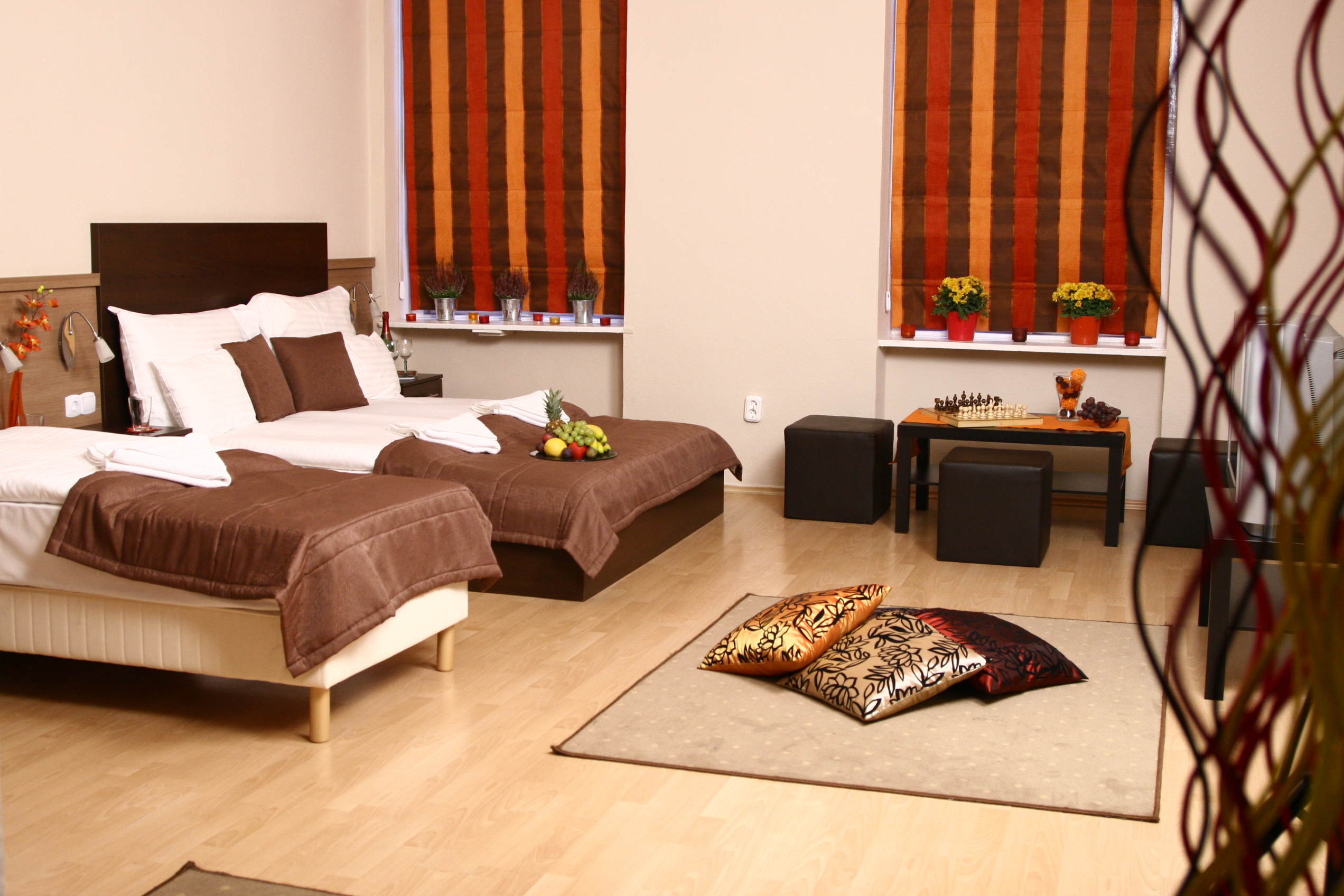 Apartment Capacity 4