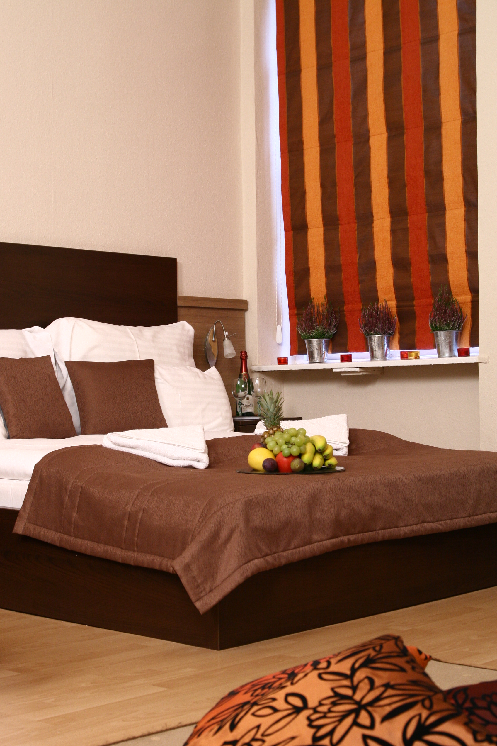 Apartment Capacity 4